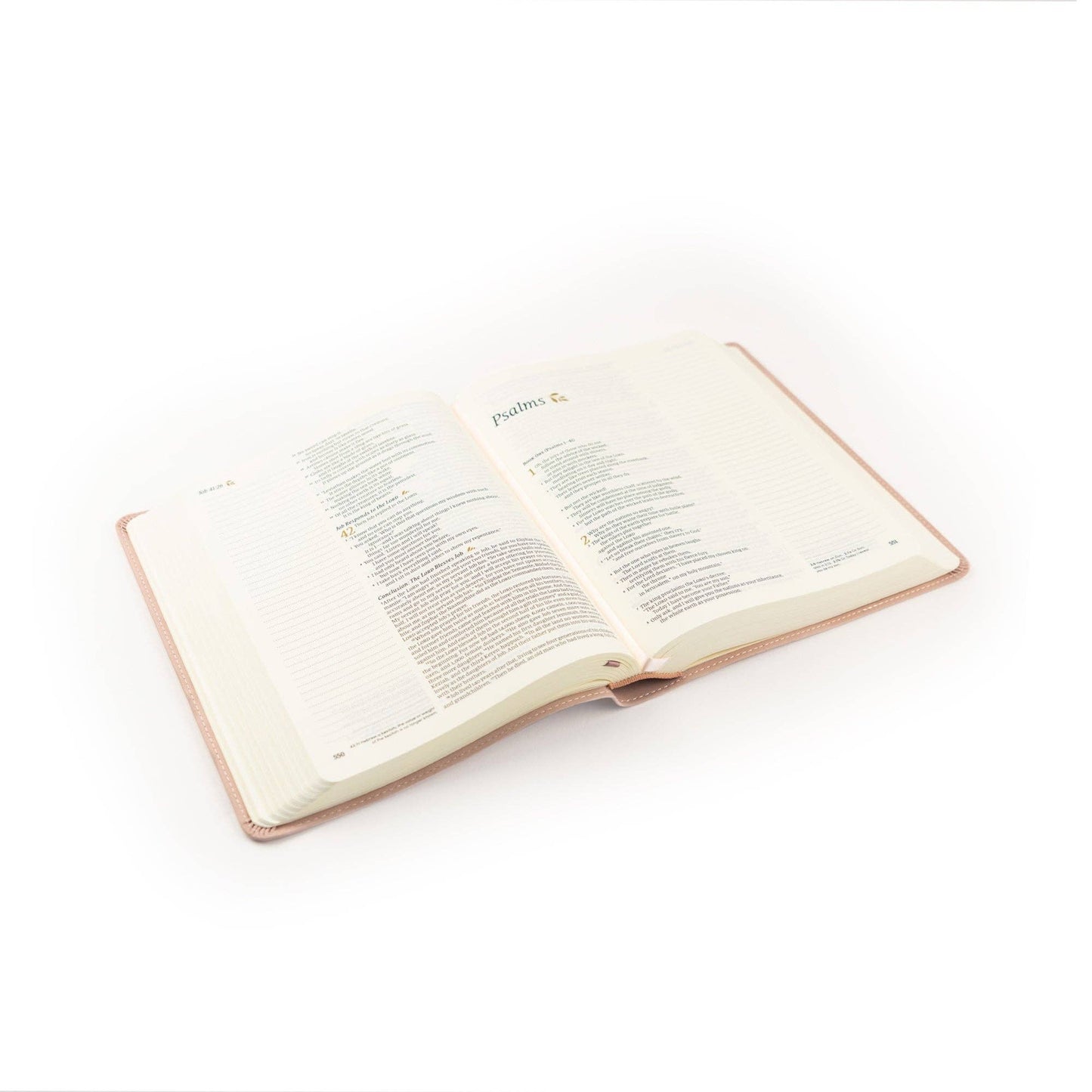 Hosanna Revival - NLT Notetaking Bible: Shiloh Theme Hosanna Revival