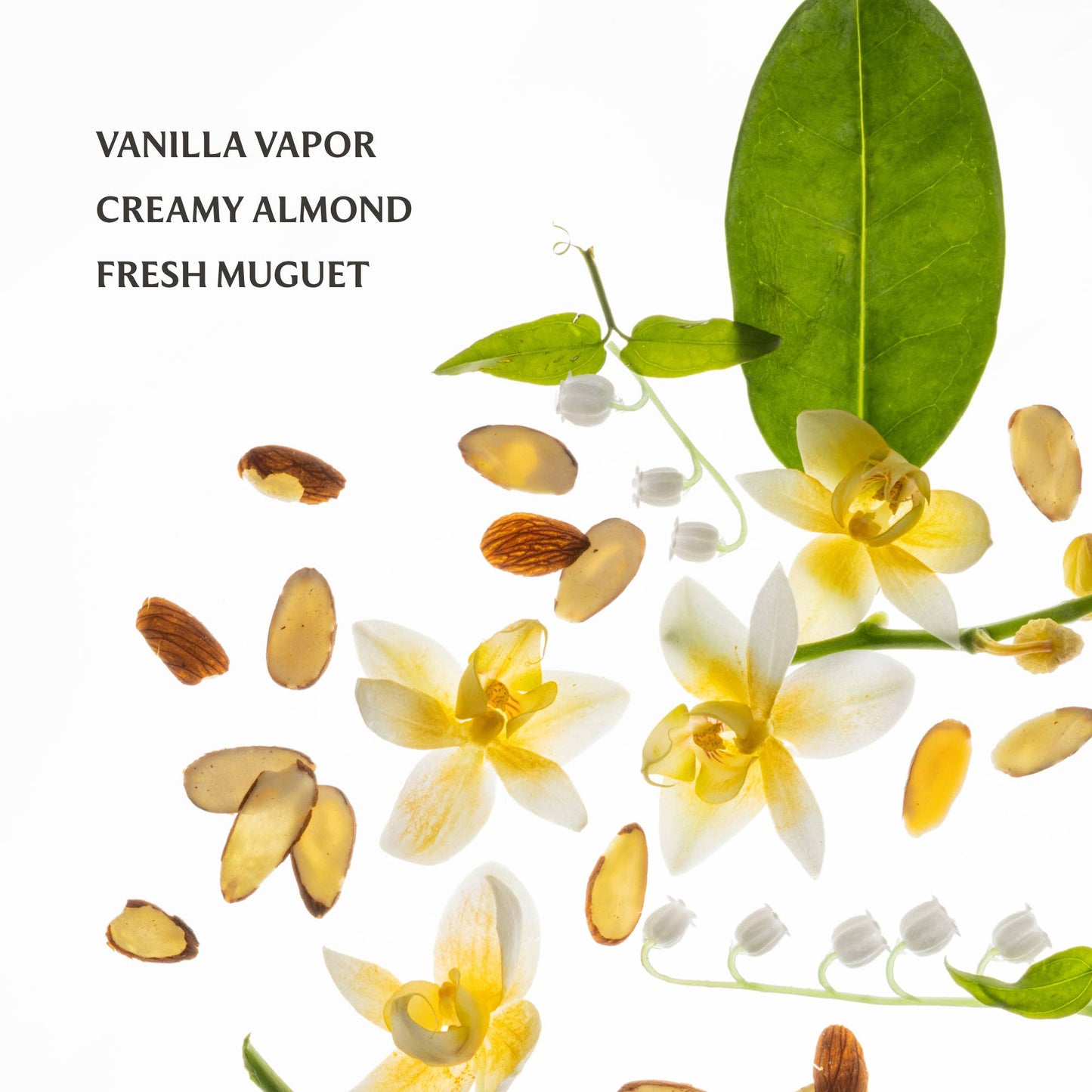 Touchland - Vanilla Velvet Power Essence Body & Hair Fragrance Mist Touchland