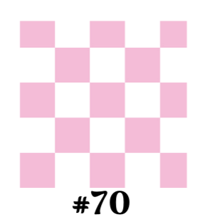 Car Coasters, Set of 2 Car Floral, Boho Trendy Coasters: Pink Checker