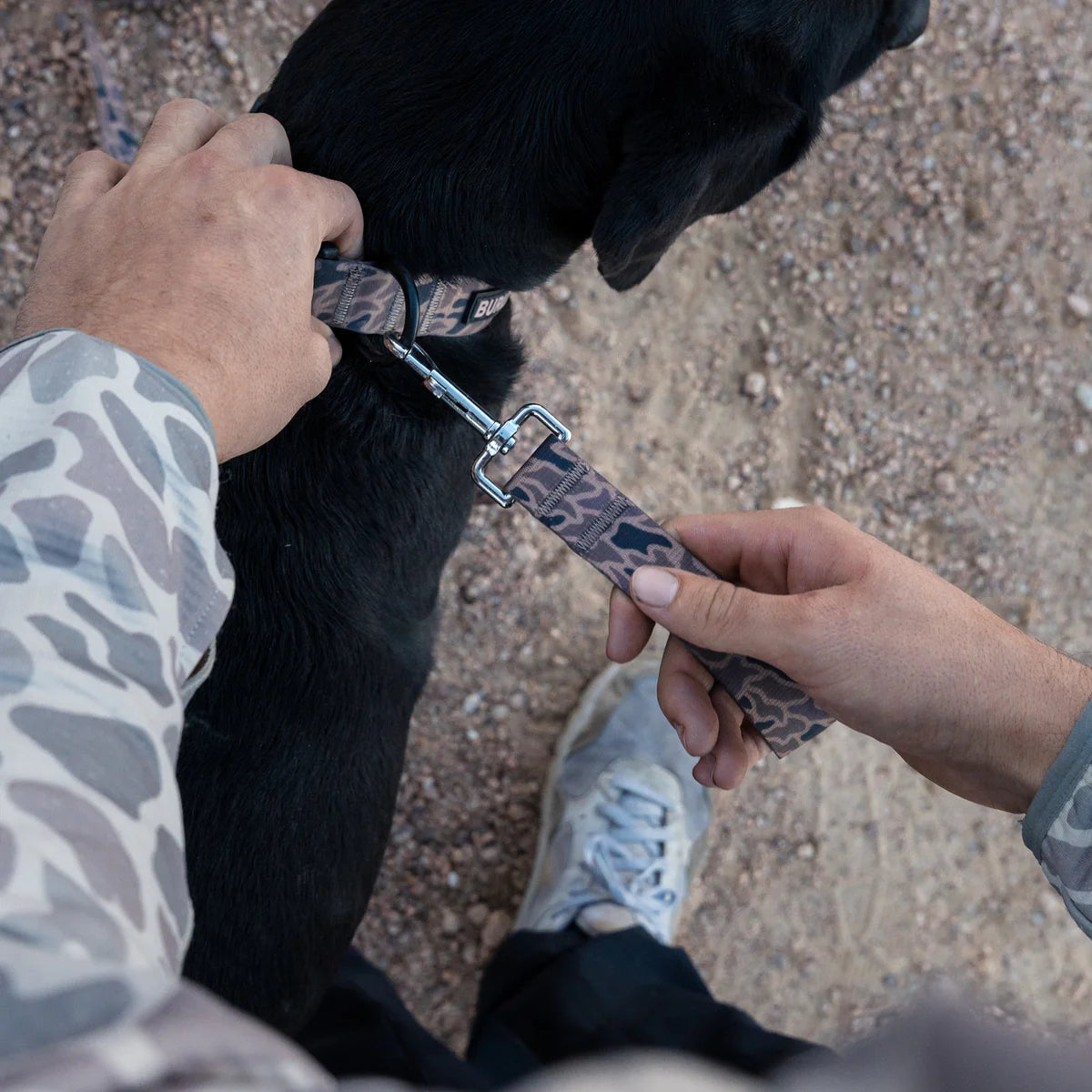 Burlebo Dog Leash BURLEBO