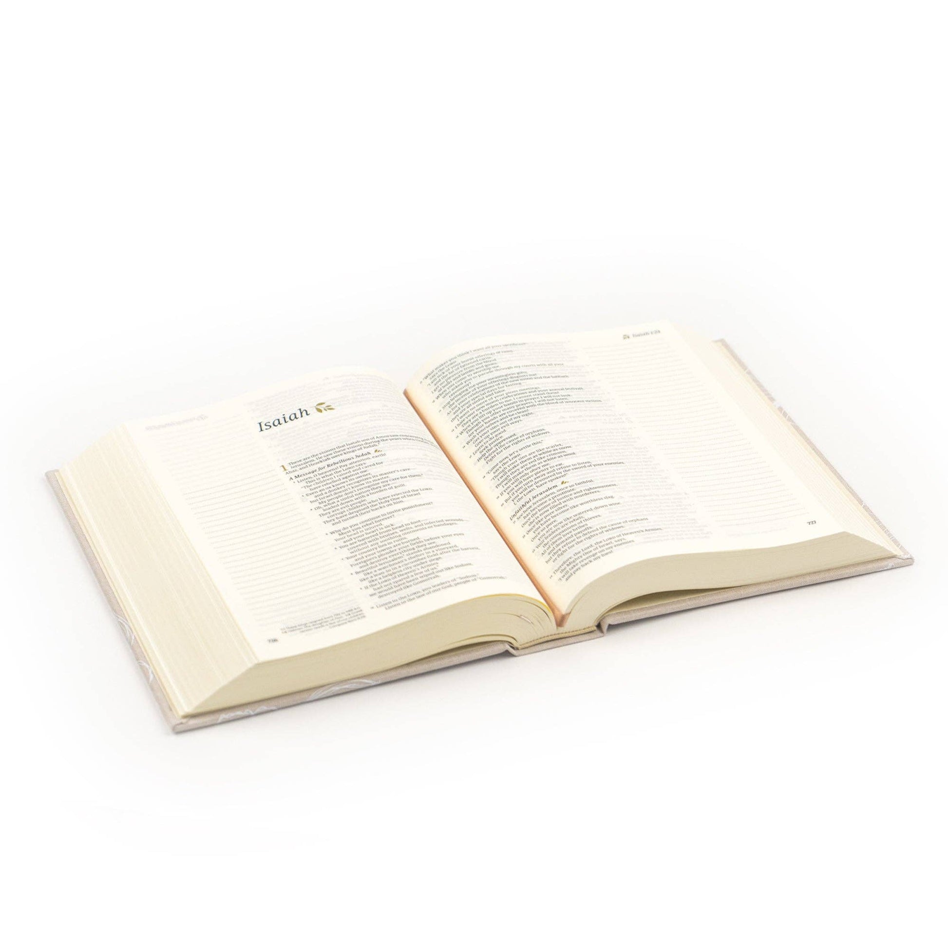 Hosanna Revival - NLT Notetaking Bible: Cordova Theme Hosanna Revival