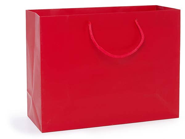 Nashville Wraps - Matte Paper Cord Handle Gift Bags: White Matte / 10 Pack / Medium 13x5x10" Nashville Wraps