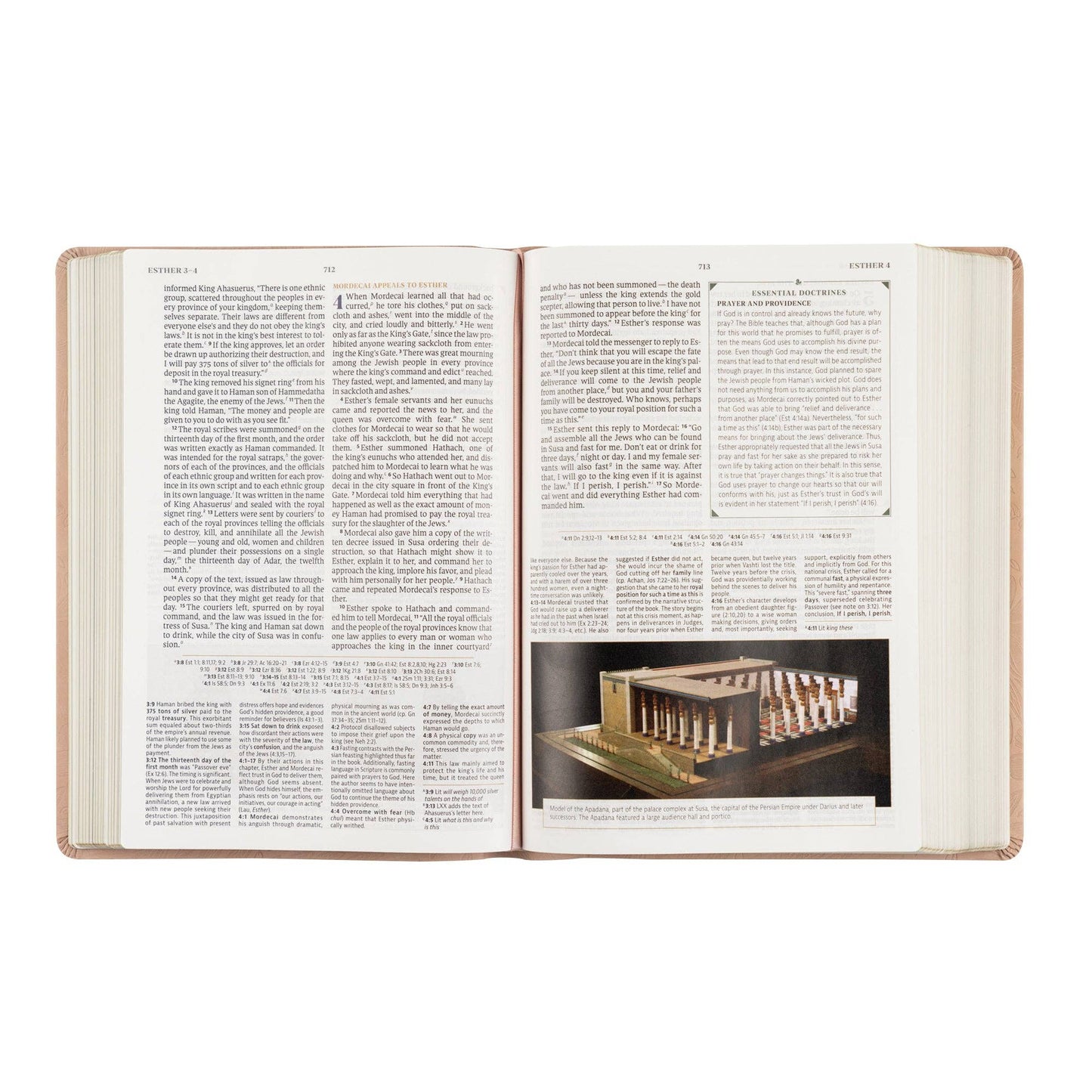 Hosanna Revival - CSB Women's Study Bible: Sonora Theme Hosanna Revival