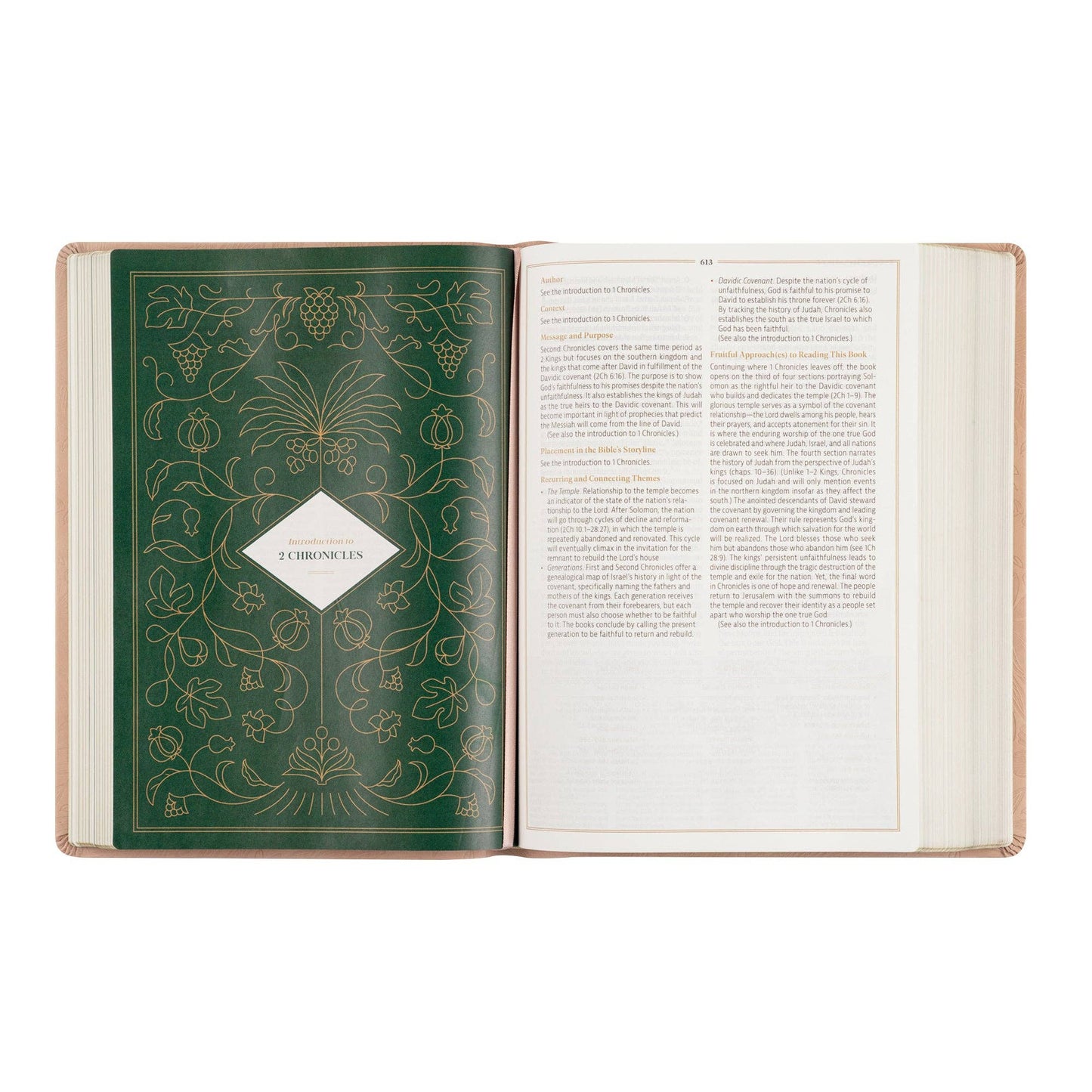 Hosanna Revival - CSB Women's Study Bible: Sonora Theme Hosanna Revival