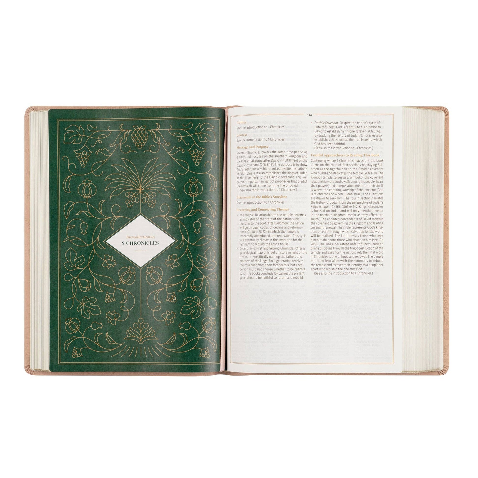 Hosanna Revival - CSB Women's Study Bible: Sonora Theme Hosanna Revival