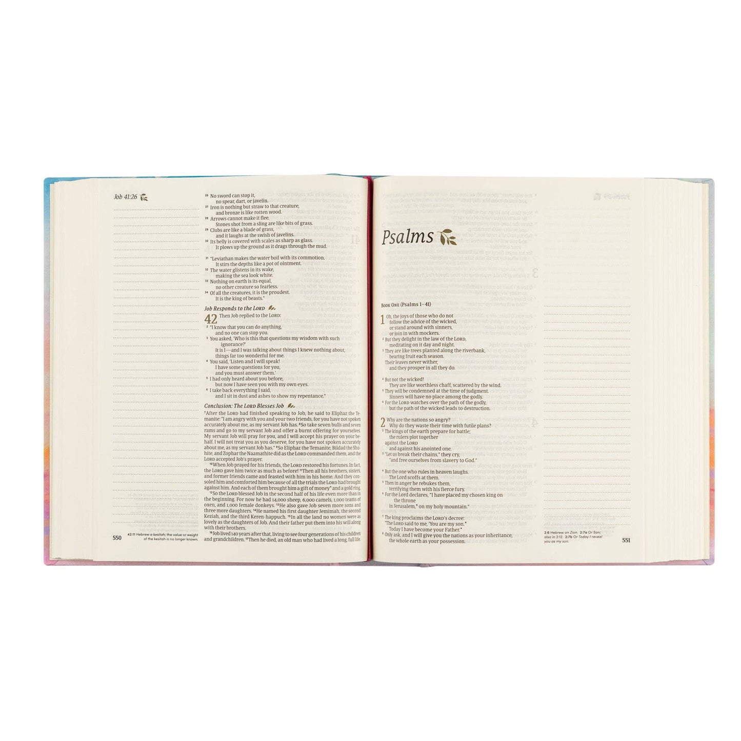 Hosanna Revival - NLT Notetaking Bible: Rosemary Beach Theme Hosanna Revival