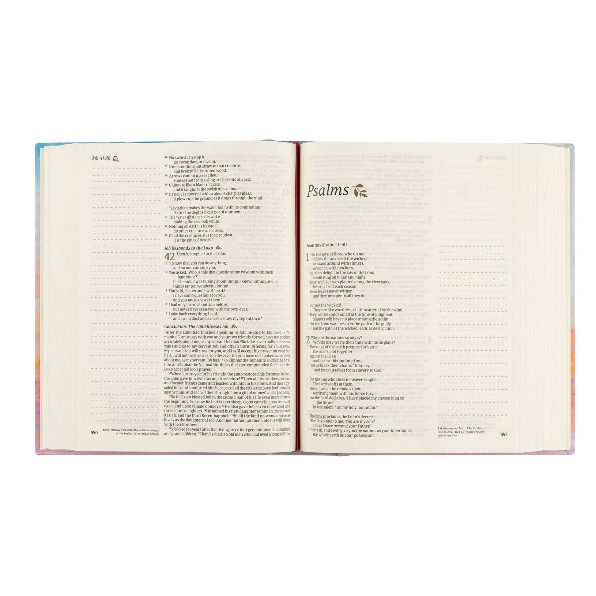 Hosanna Revival - NLT Notetaking Bible: Rosemary Beach Theme Hosanna Revival