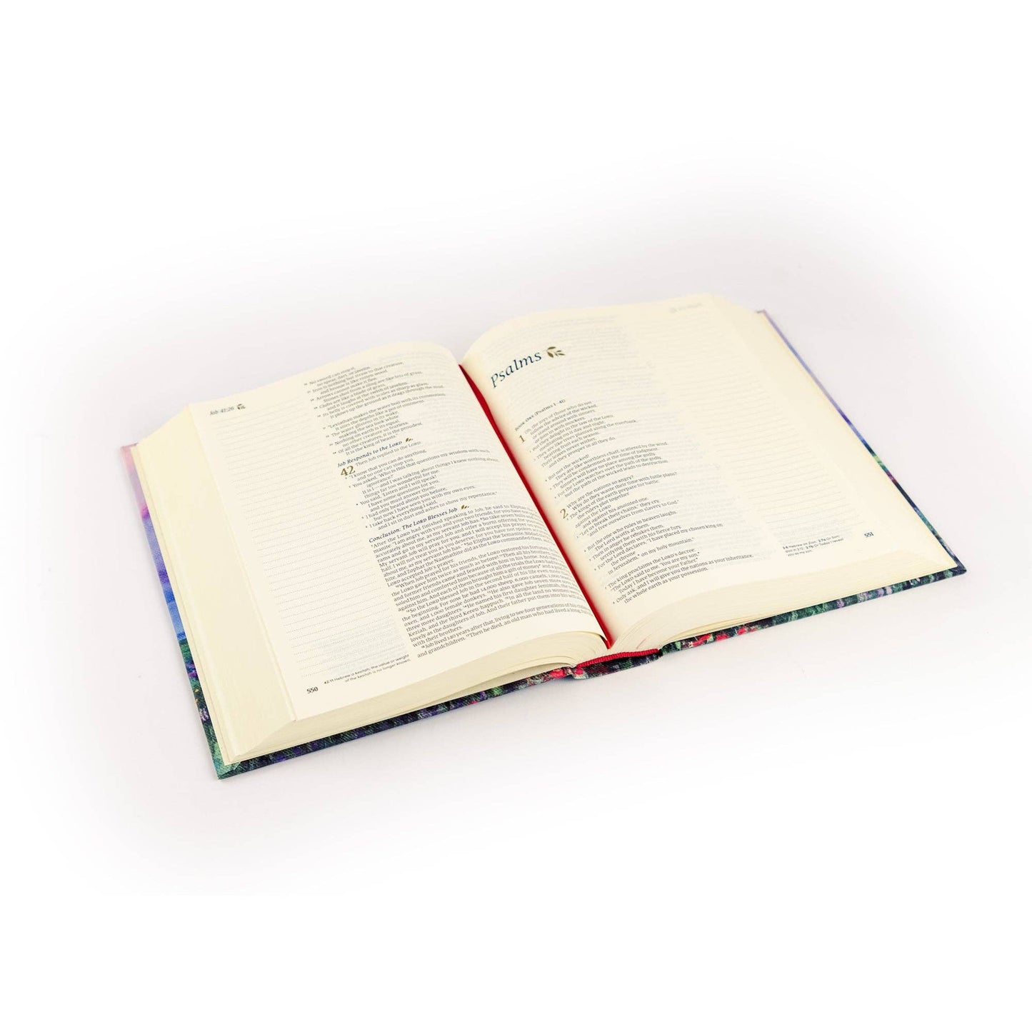Hosanna Revival - NLT Notetaking Bible: Cana Theme Hosanna Revival