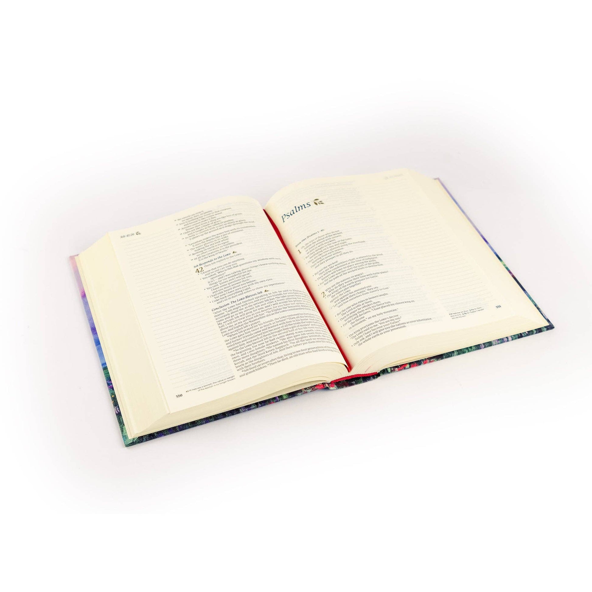 Hosanna Revival - NLT Notetaking Bible: Cana Theme Hosanna Revival