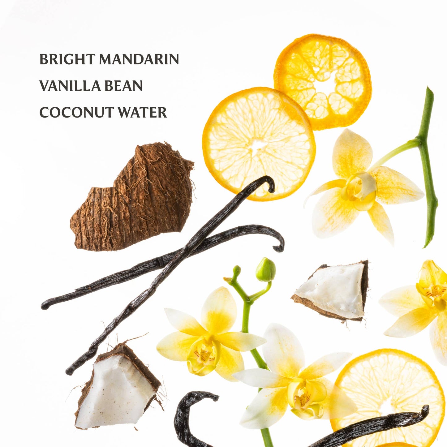 Touchland - Vanilla Blossom Power Mist Hydrating Hand Sanitizer Touchland
