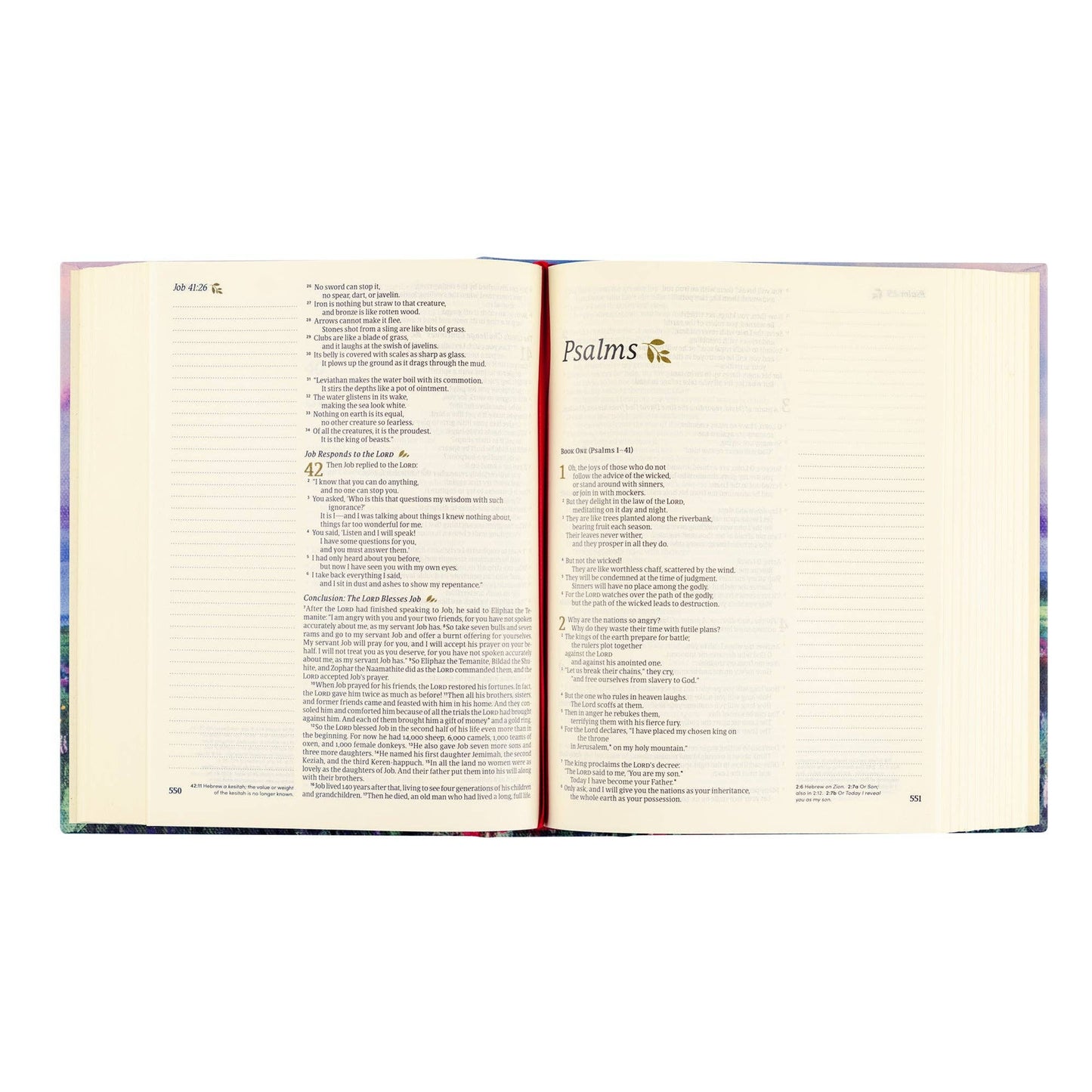 Hosanna Revival - NLT Notetaking Bible: Cana Theme Hosanna Revival