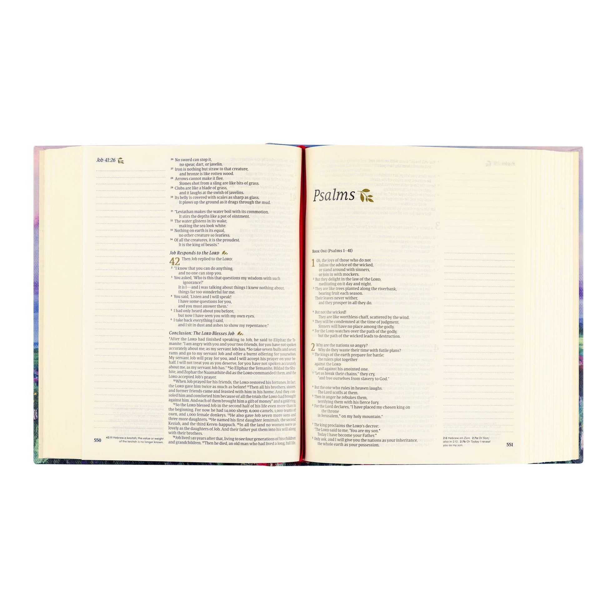 Hosanna Revival - NLT Notetaking Bible: Cana Theme Hosanna Revival