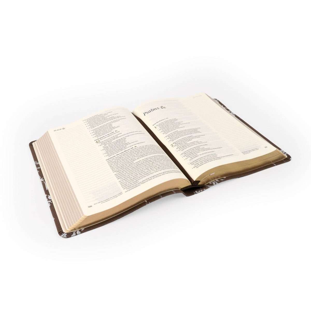 Hosanna Revival - NLT Notetaking Bible: Lijiang Theme Hosanna Revival