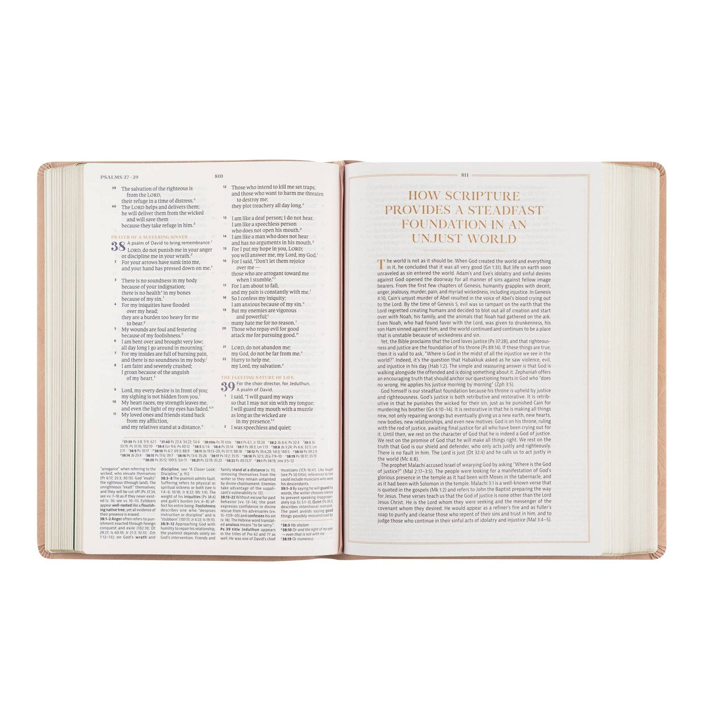 Hosanna Revival - CSB Women's Study Bible: Sonora Theme Hosanna Revival