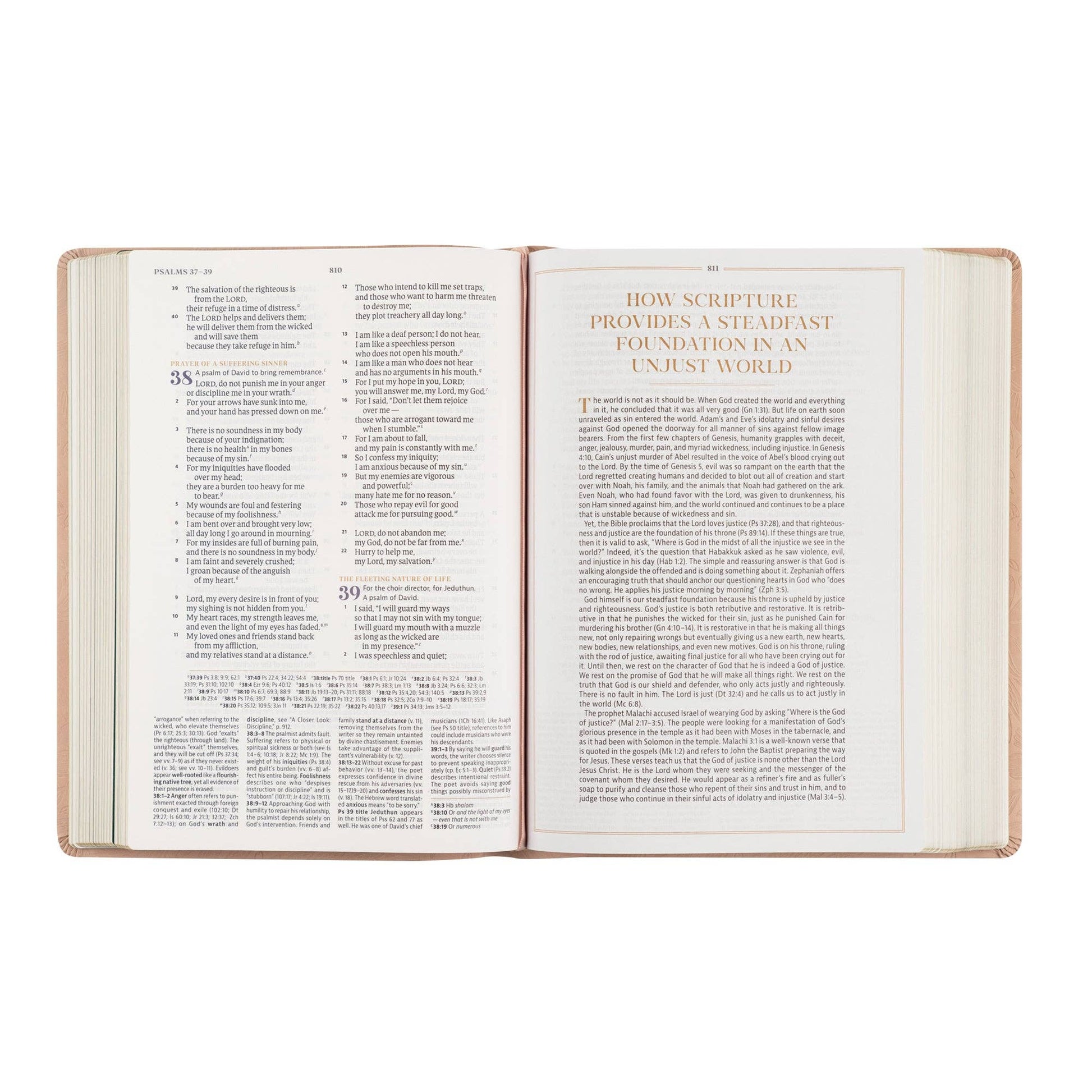 Hosanna Revival - CSB Women's Study Bible: Sonora Theme Hosanna Revival
