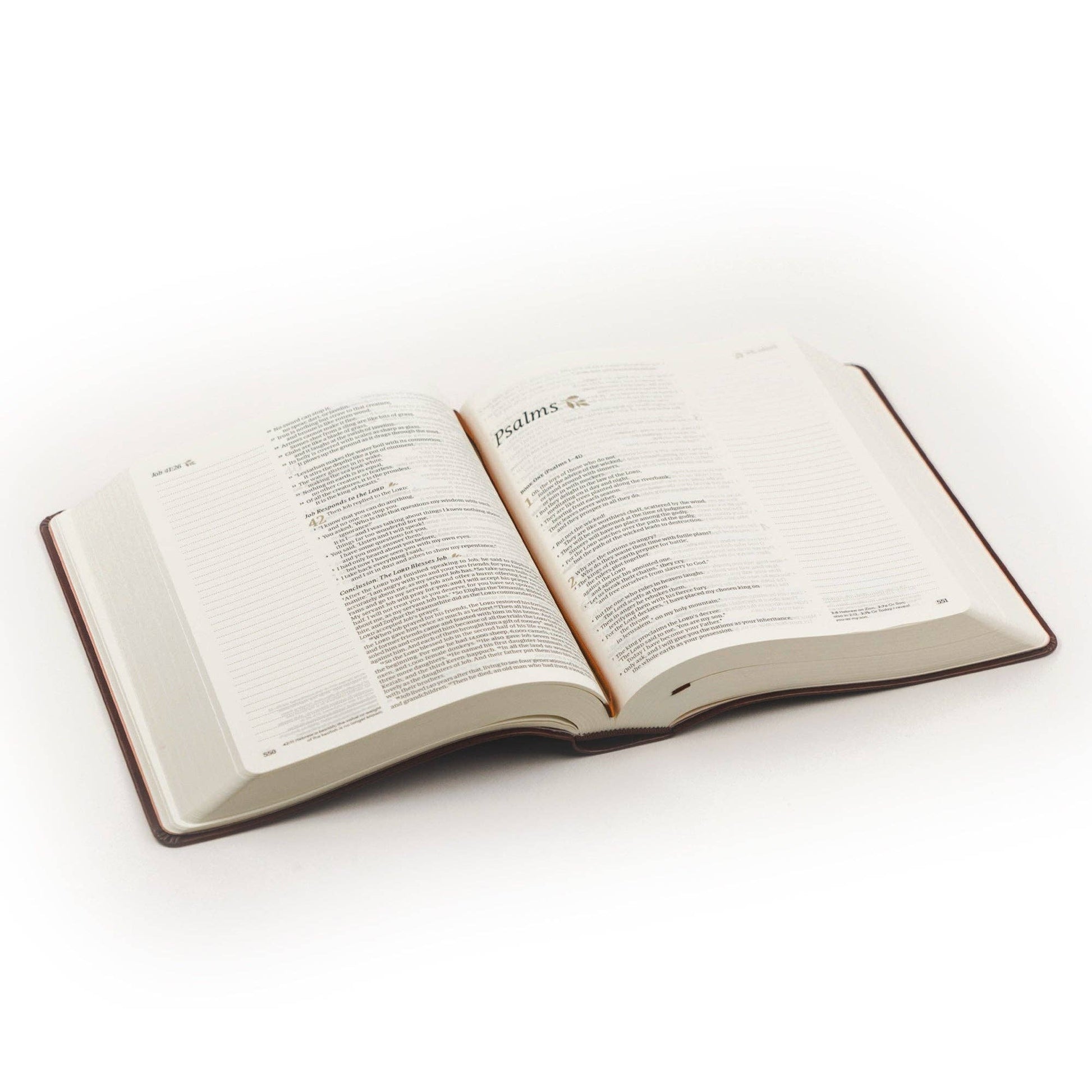 Hosanna Revival - NLT Notetaking Bible: Santa Elena Theme Hosanna Revival
