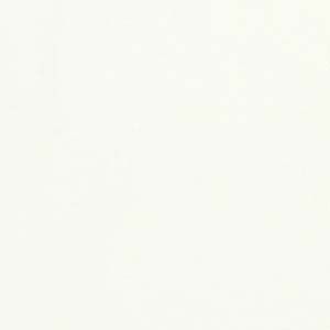 Marsh Wear Vintage White High Flyer SS T-Shirt MARSH WEAR