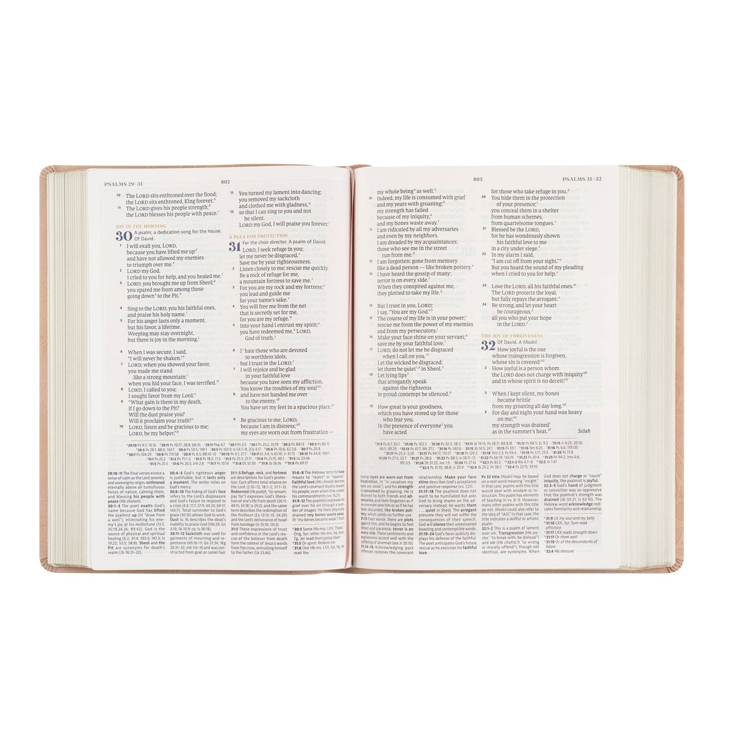Hosanna Revival - CSB Women's Study Bible: Sonora Theme Hosanna Revival