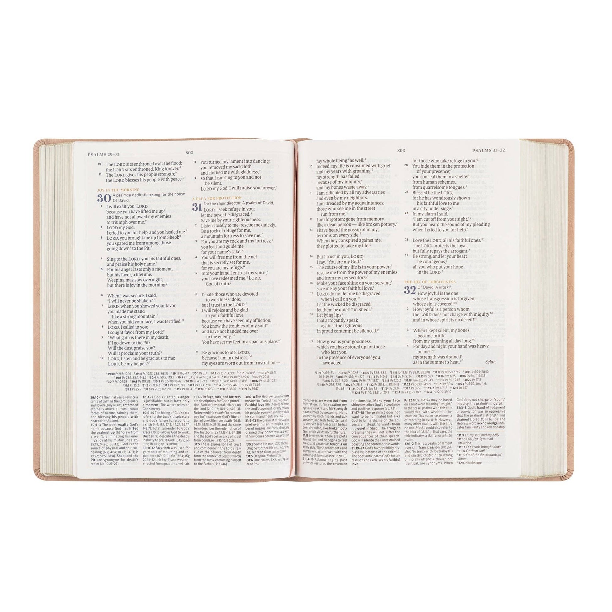 Hosanna Revival - CSB Women's Study Bible: Sonora Theme Hosanna Revival