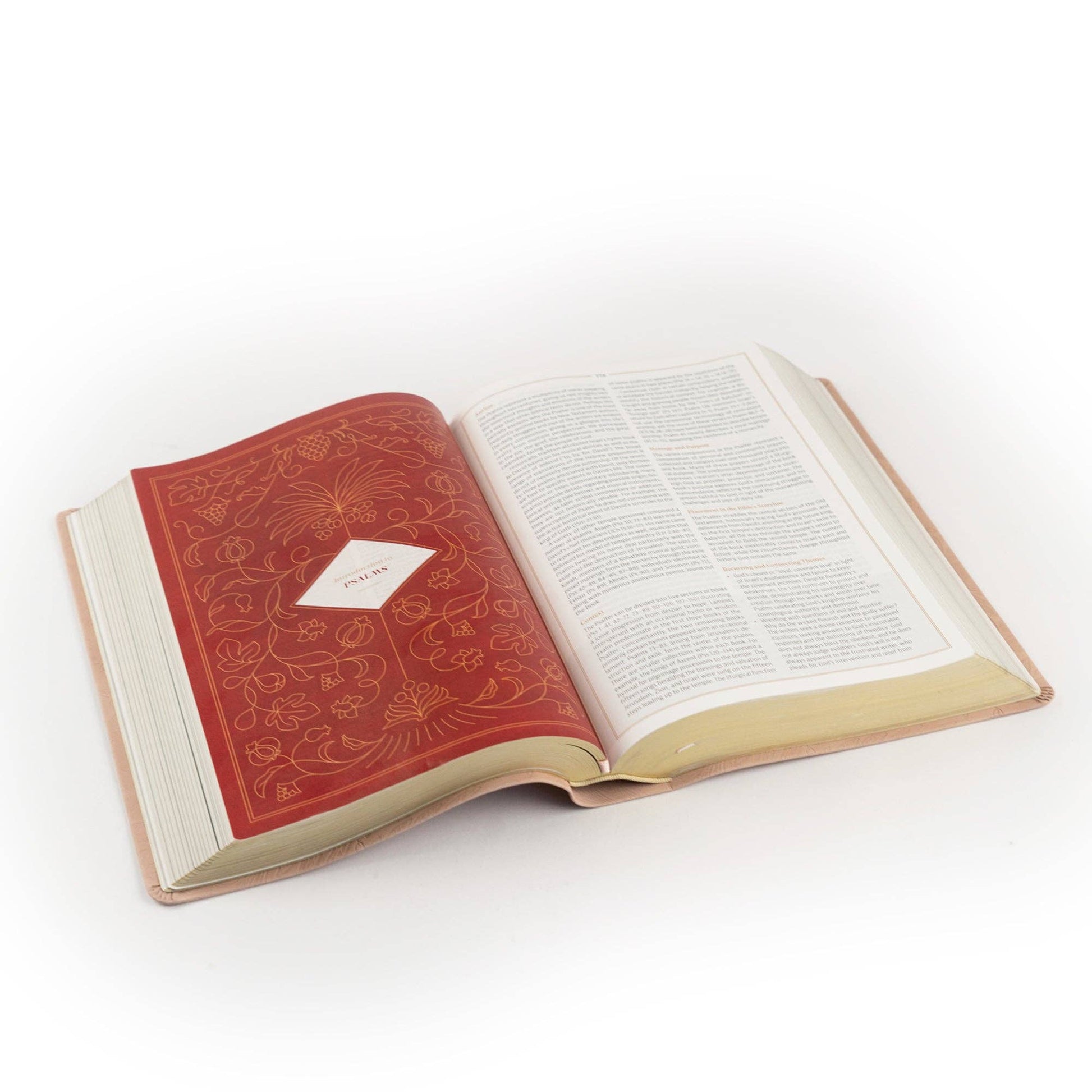 Hosanna Revival - CSB Women's Study Bible: Sonora Theme Hosanna Revival