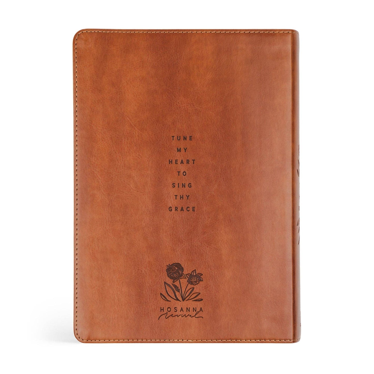 Hosanna Revival - ESV Large Print Journaling Bible: Sierra Theme Hosanna Revival