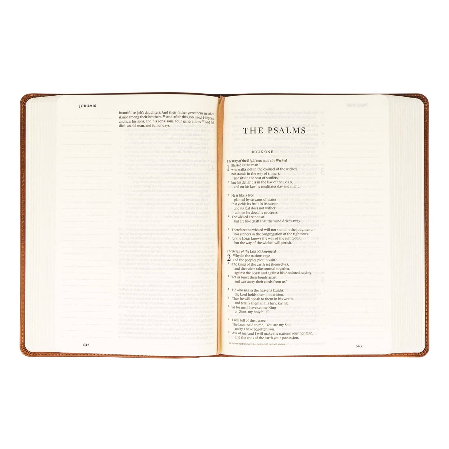 Hosanna Revival - ESV Large Print Journaling Bible: Sierra Theme Hosanna Revival