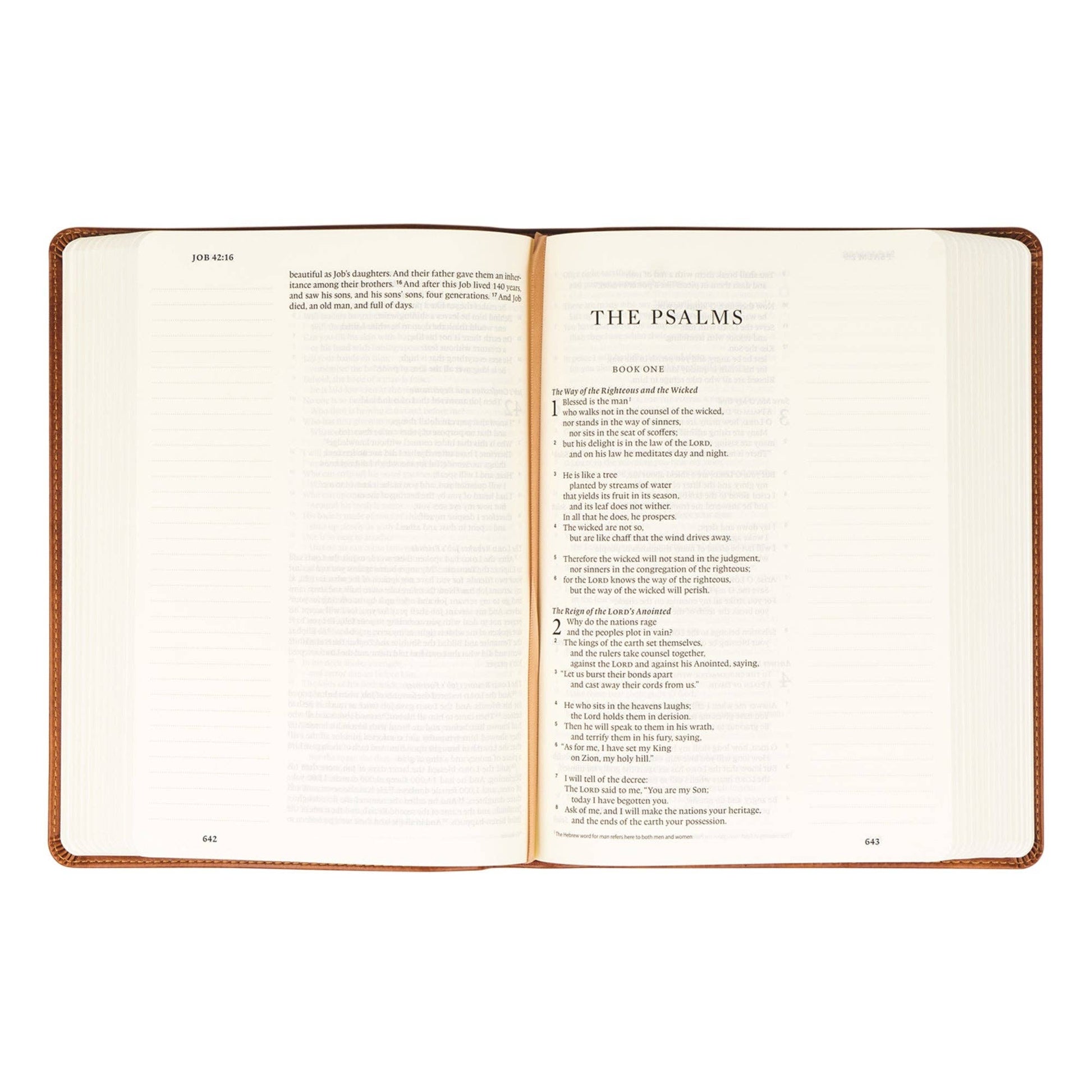 Hosanna Revival - ESV Large Print Journaling Bible: Sierra Theme Hosanna Revival