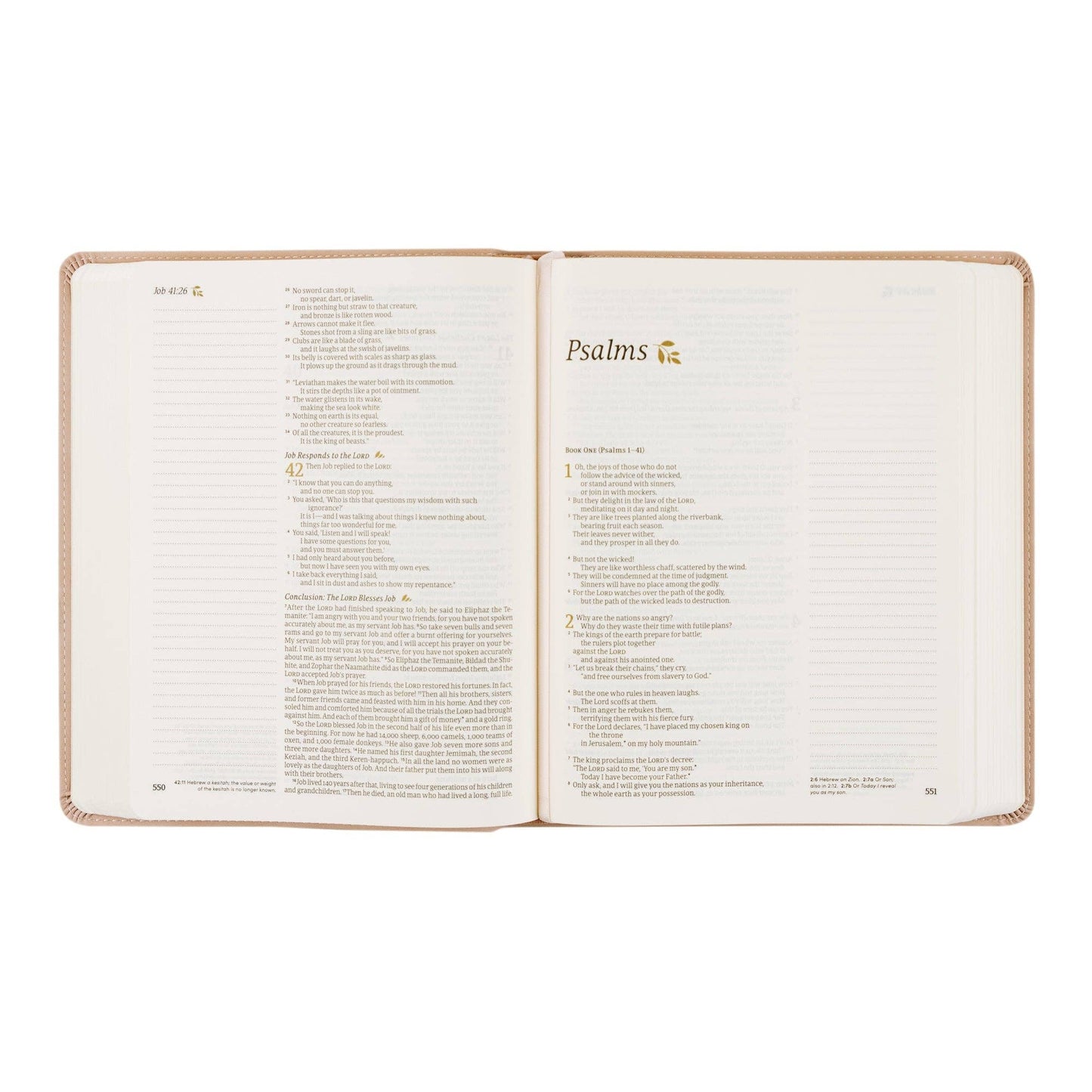 Hosanna Revival - NLT Notetaking Bible: Shiloh Theme Hosanna Revival
