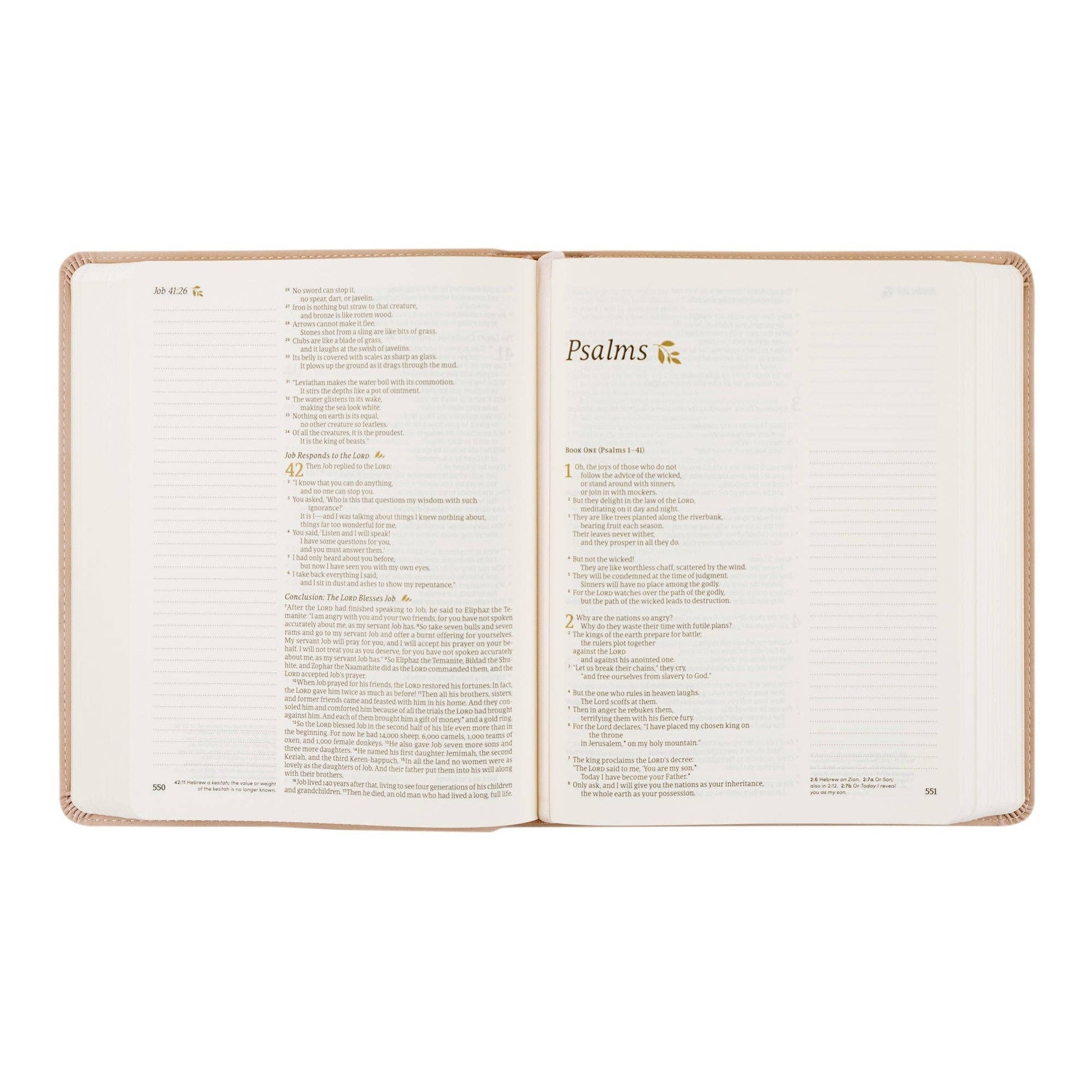 Hosanna Revival - NLT Notetaking Bible: Shiloh Theme Hosanna Revival