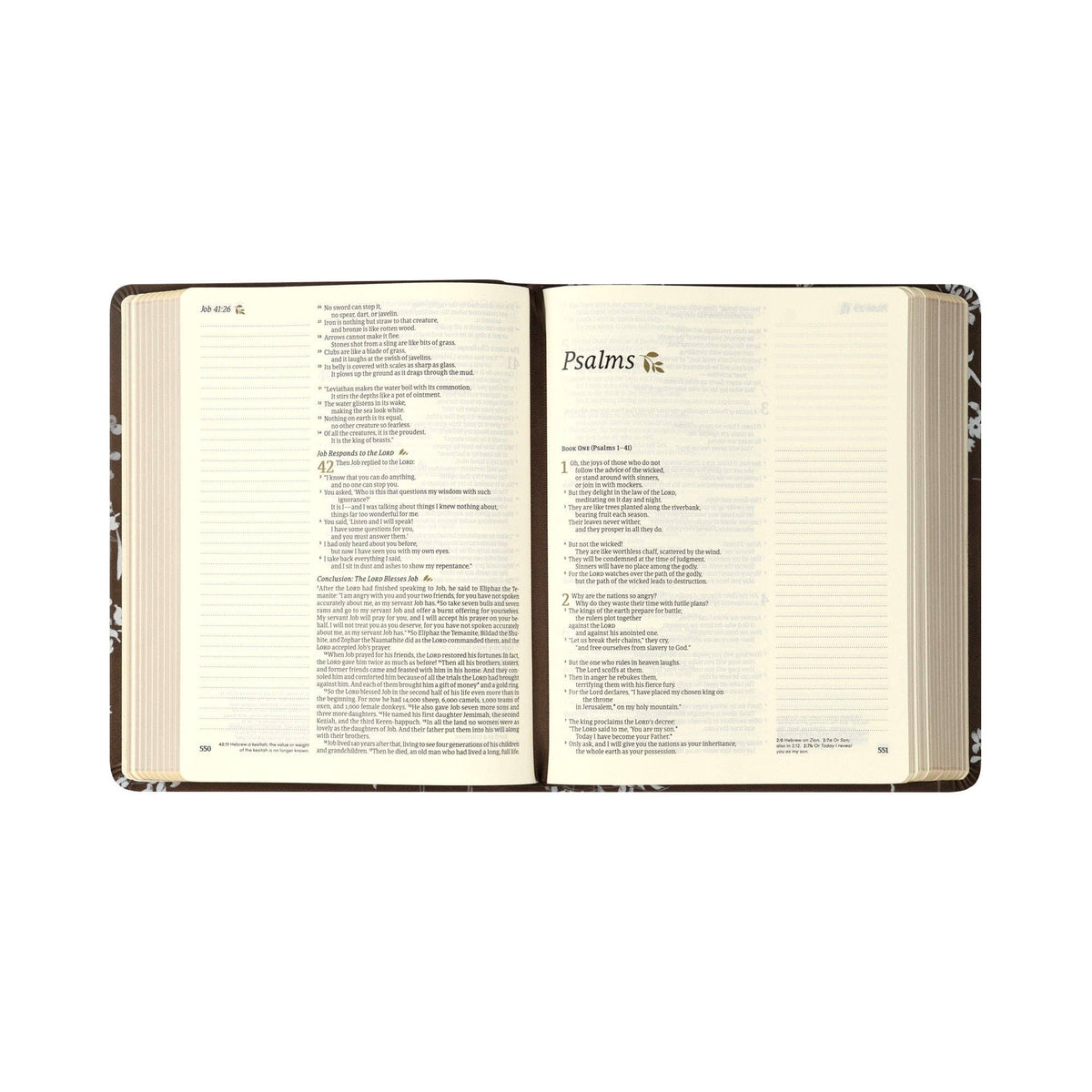 Hosanna Revival - NLT Notetaking Bible: Lijiang Theme Hosanna Revival