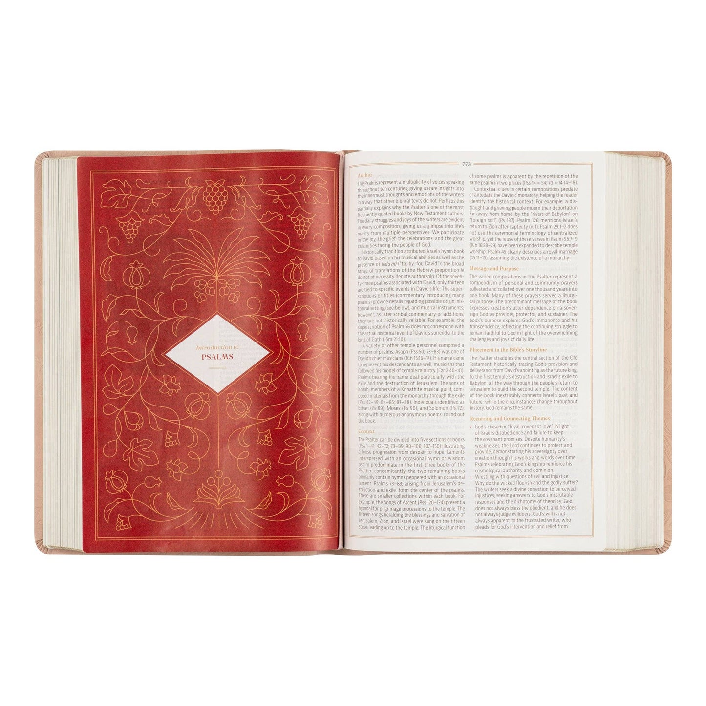 Hosanna Revival - CSB Women's Study Bible: Sonora Theme Hosanna Revival