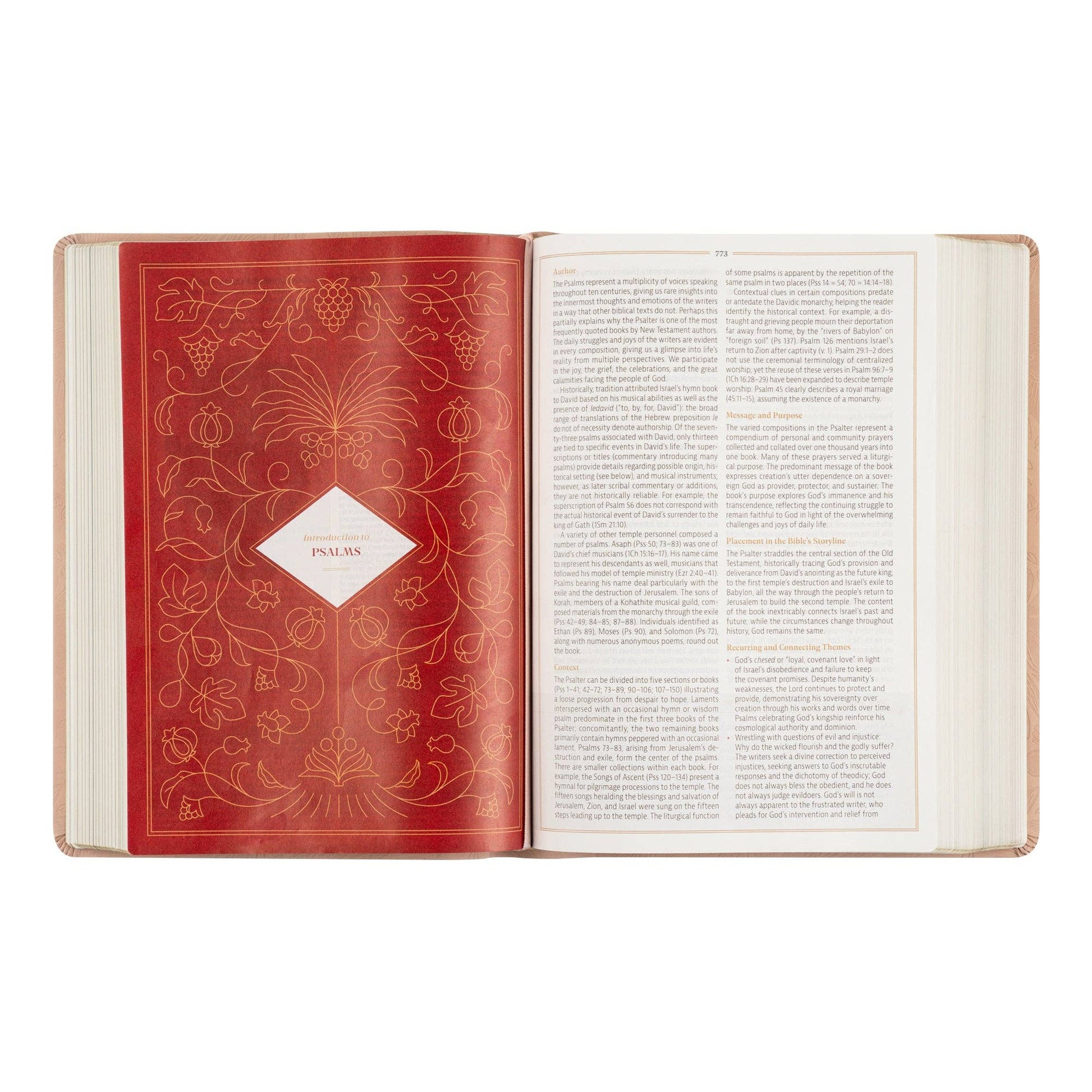 Hosanna Revival - CSB Women's Study Bible: Sonora Theme Hosanna Revival