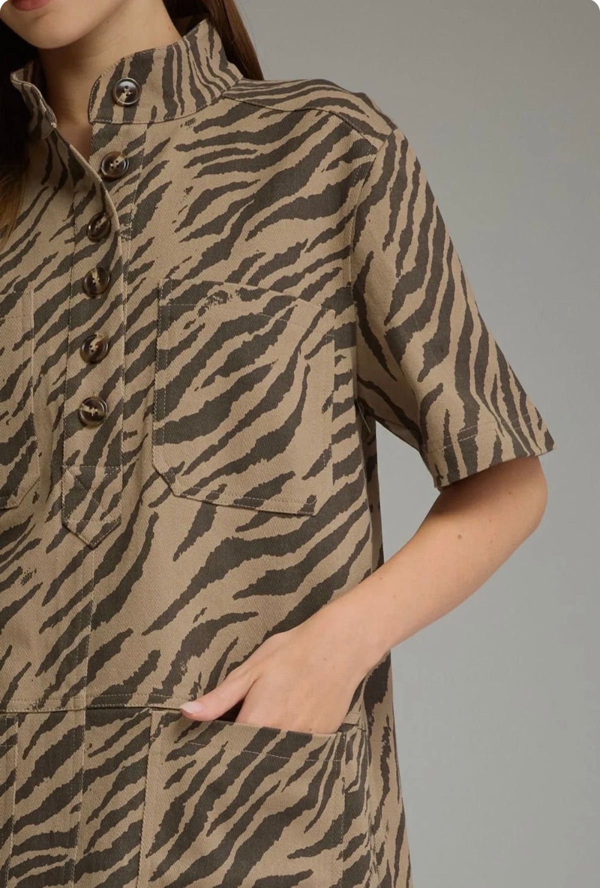 Entro Mocha Zebra Print Woven Mini Dress entro