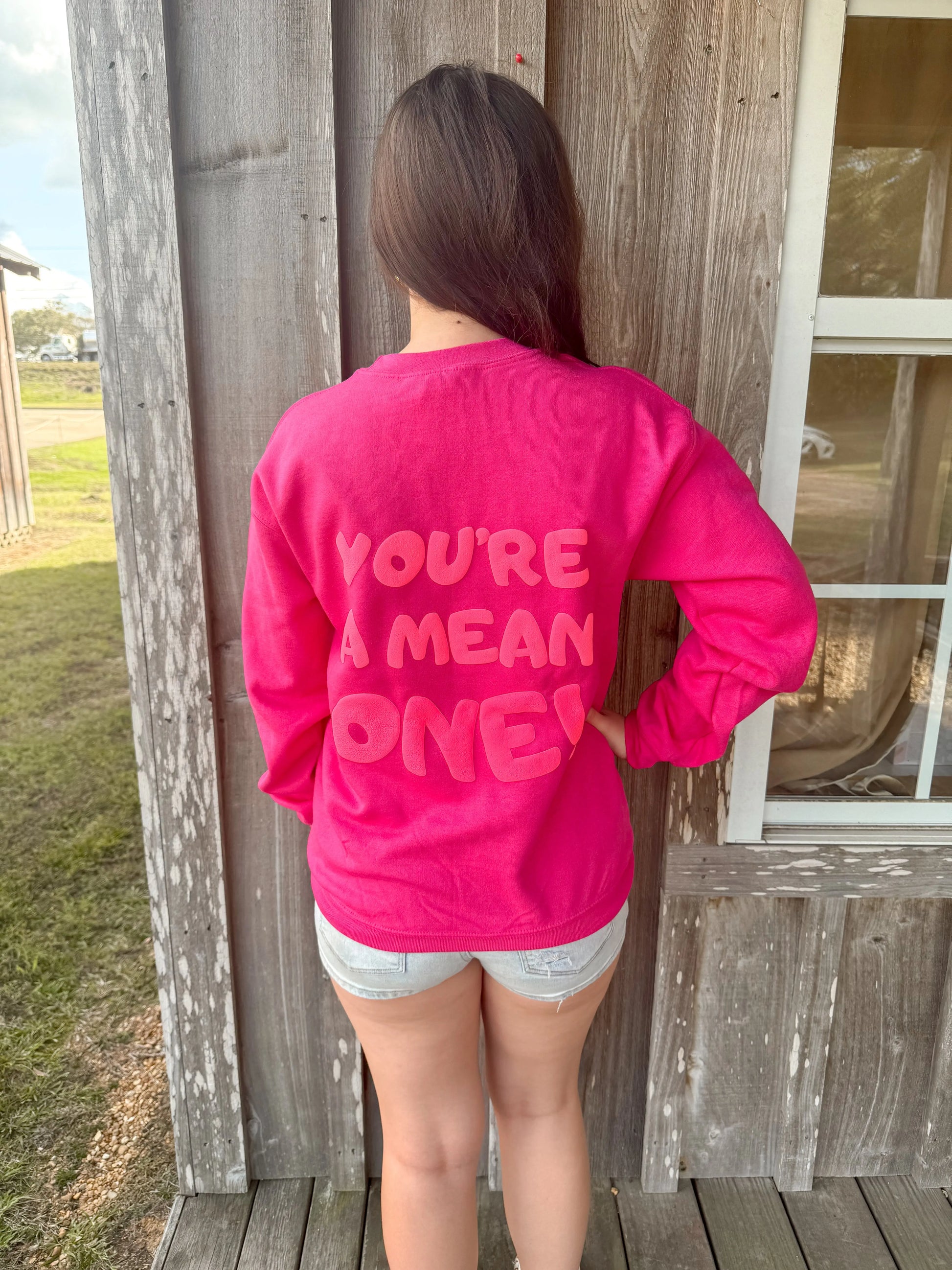 You’re a Mean One Crewneck Sweatshirt Bird & Co Wholesale Tees