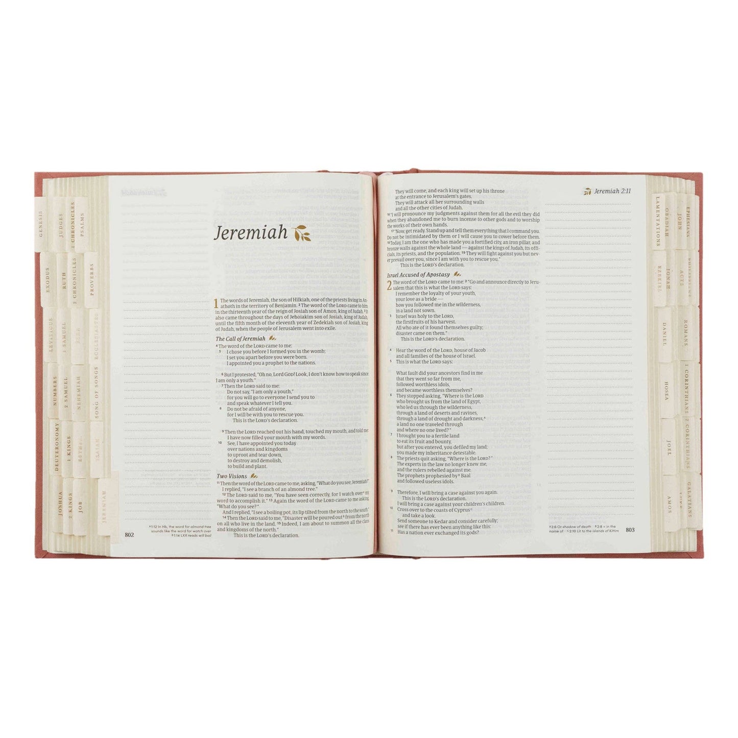 Hosanna Revival - Bible Tabs: Gold Foiling Hosanna Revival