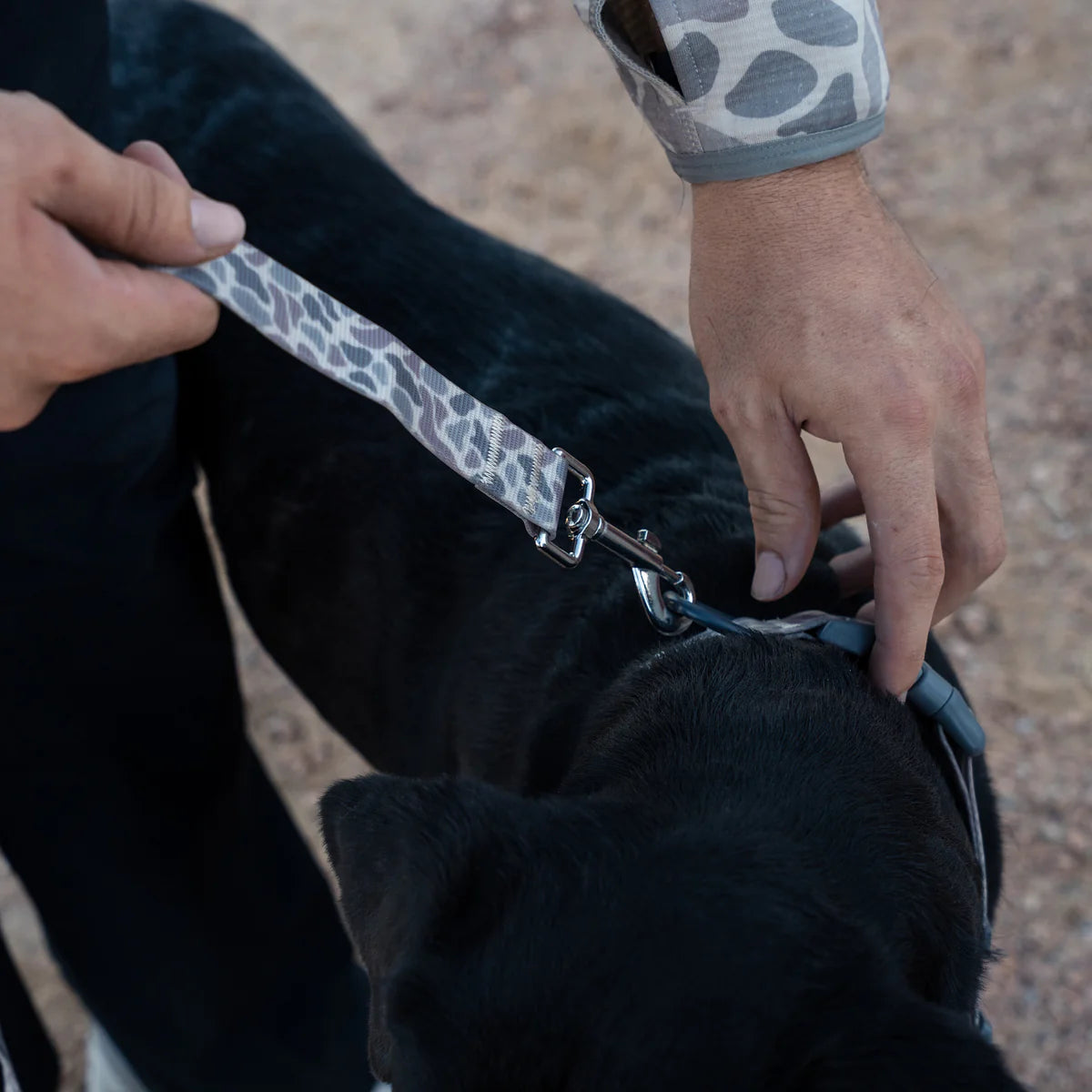 Burlebo Dog Leash BURLEBO