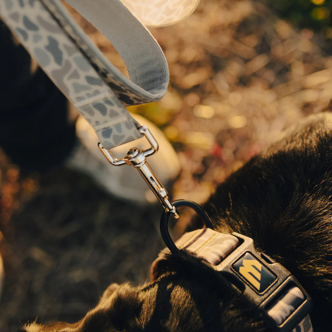 Burlebo Dog Leash BURLEBO