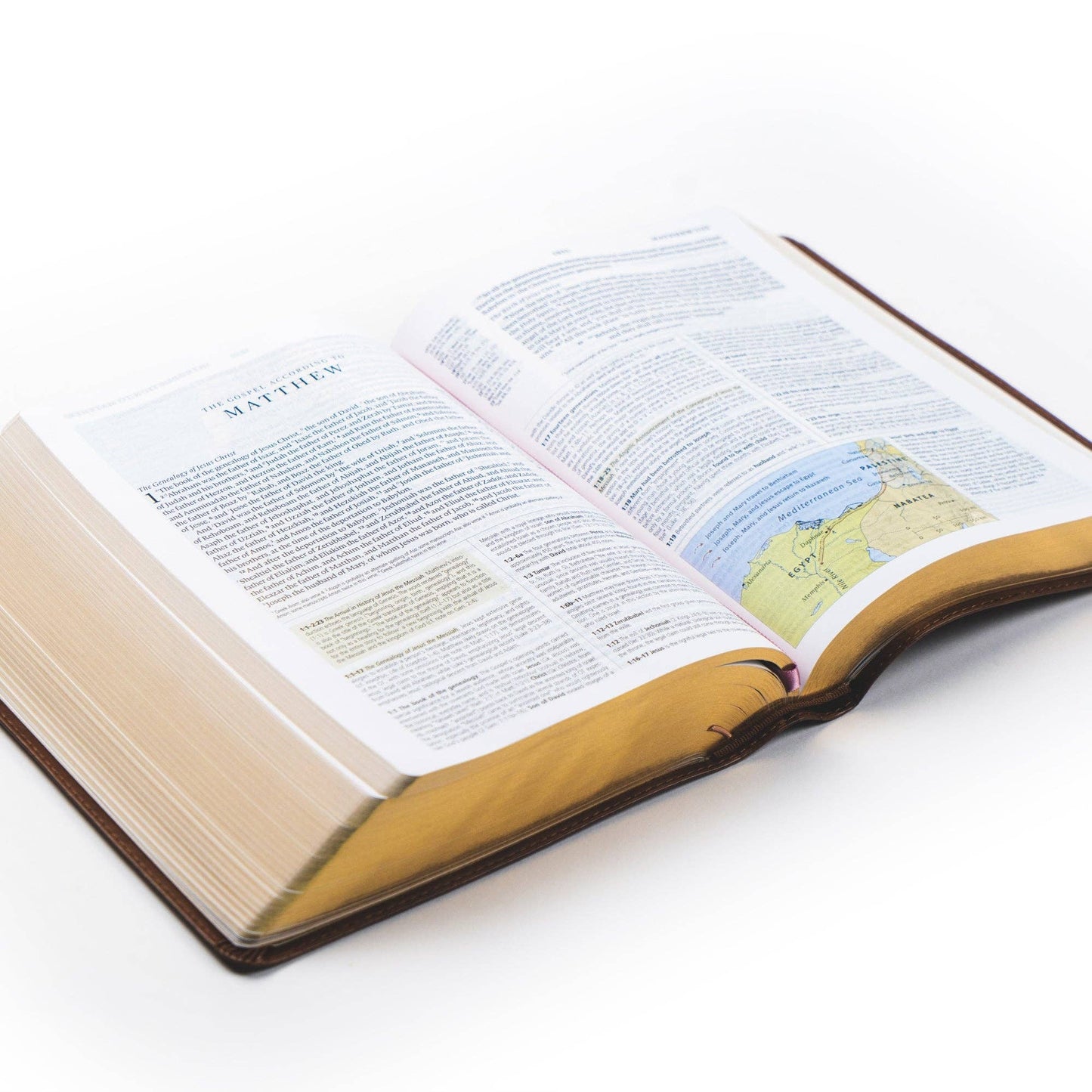 Hosanna Revival - ESV Study Bible: Aurora Theme Hosanna Revival