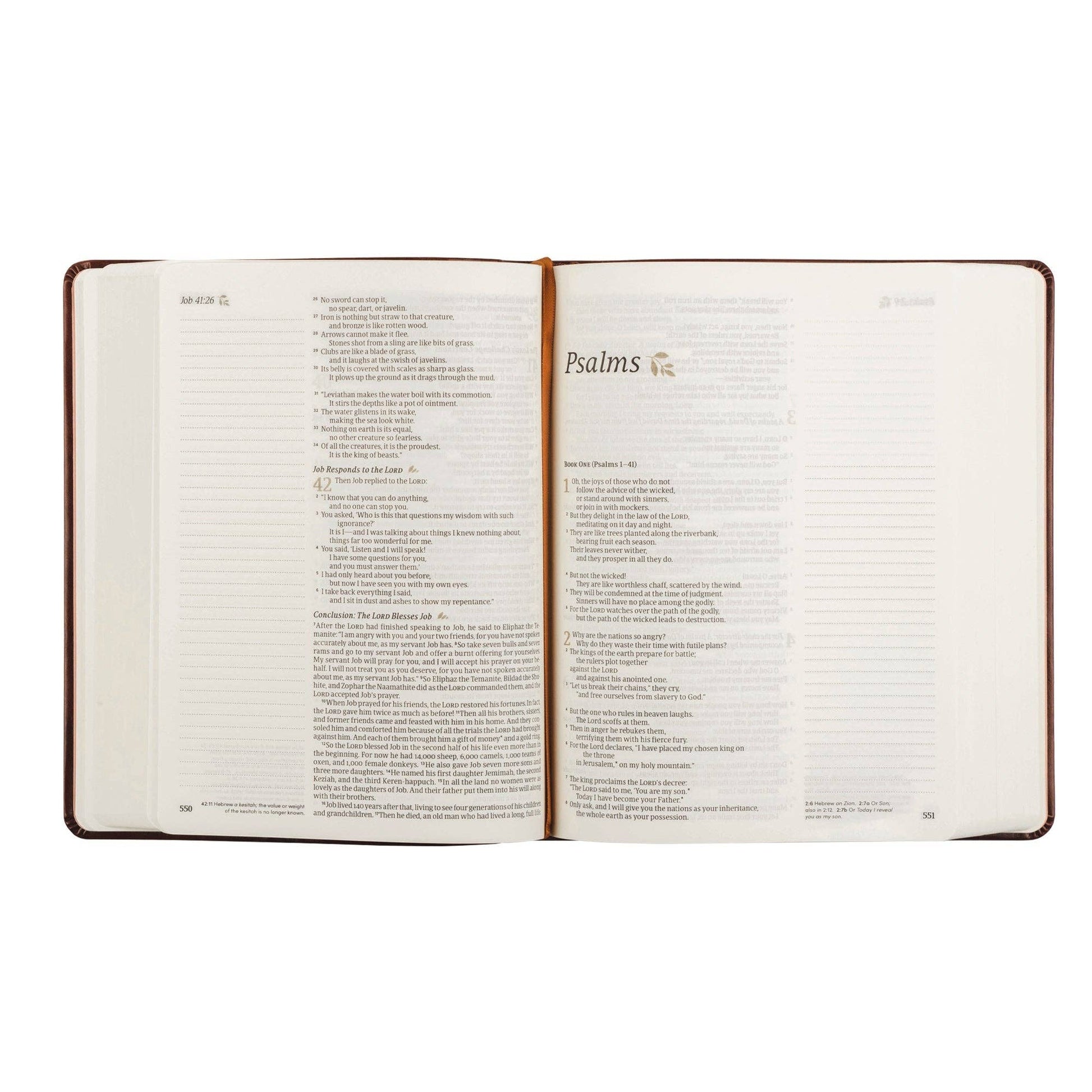Hosanna Revival - NLT Notetaking Bible: Santa Elena Theme Hosanna Revival