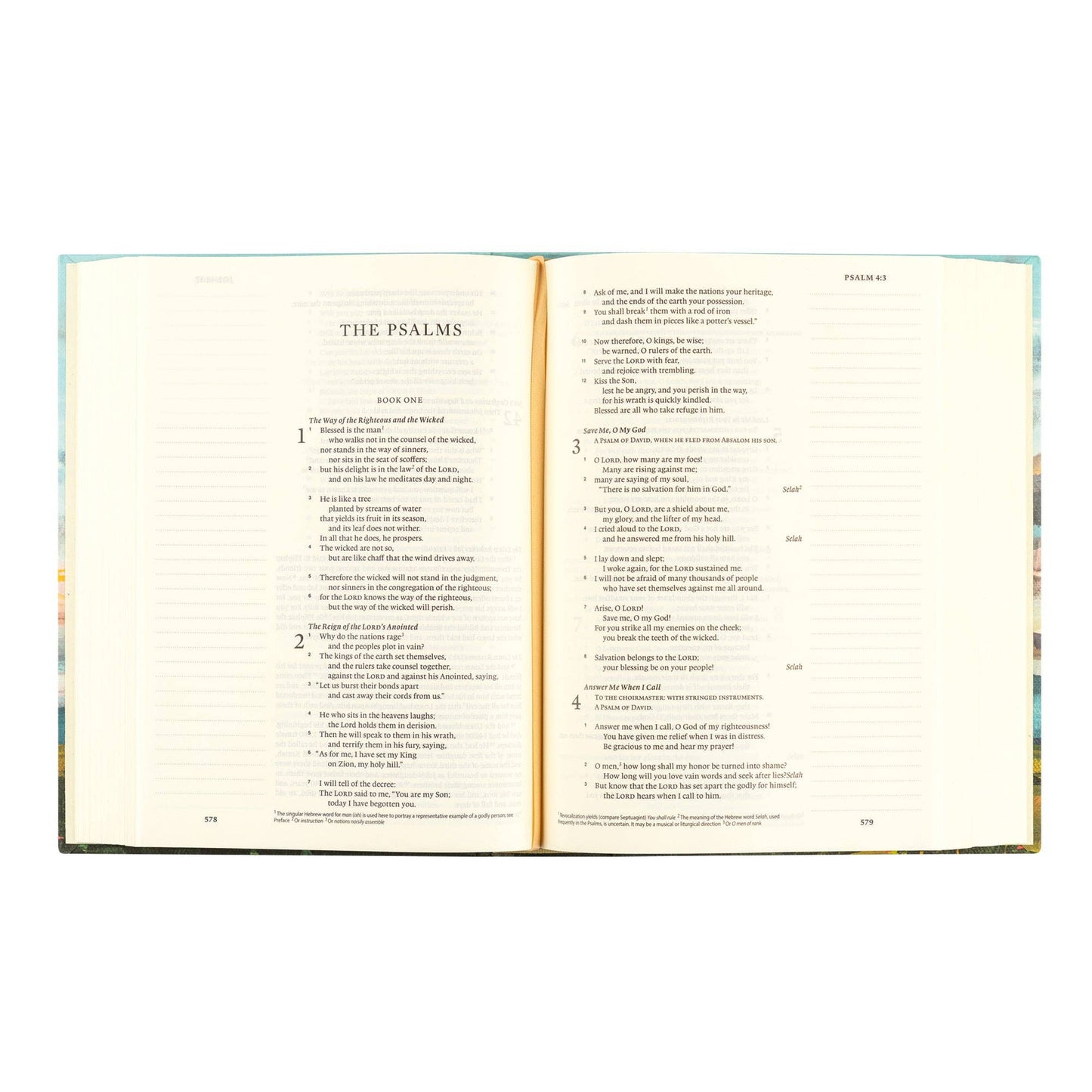 Hosanna Revival - ESV Journaling Bible: Santa Lucia Theme Hosanna Revival