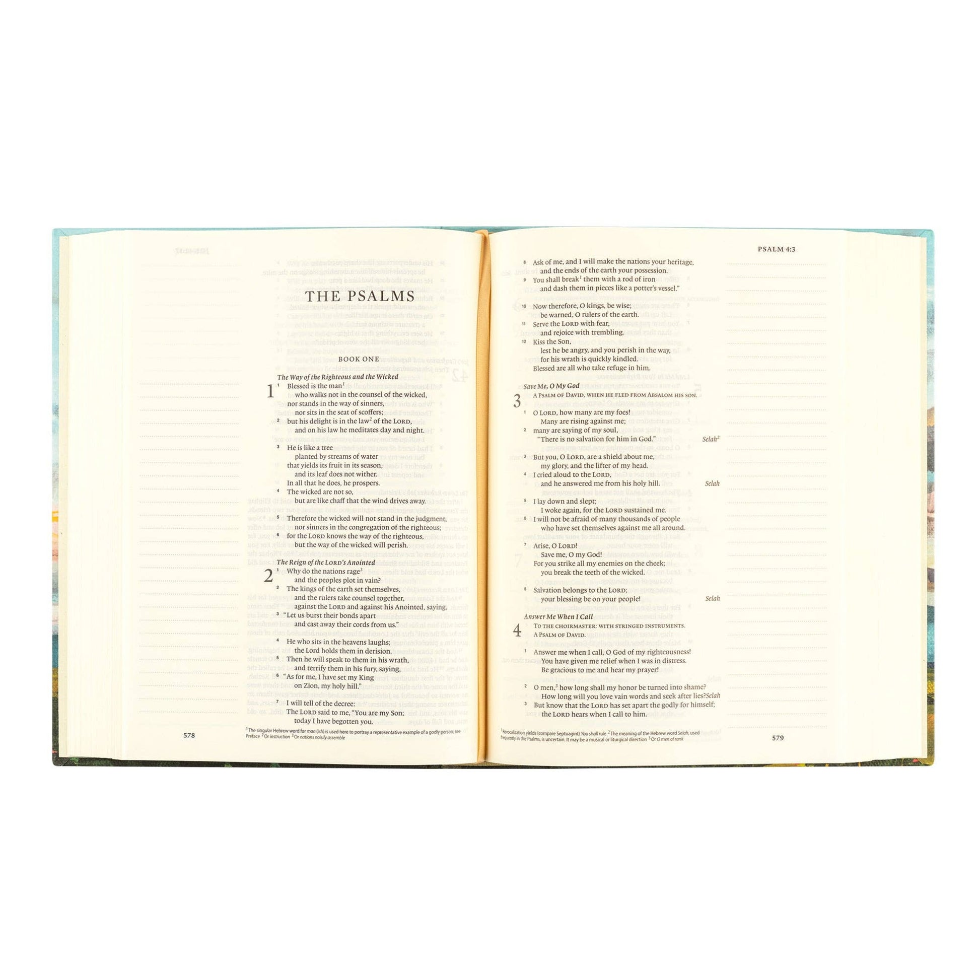 Hosanna Revival - ESV Journaling Bible: Santa Lucia Theme Hosanna Revival