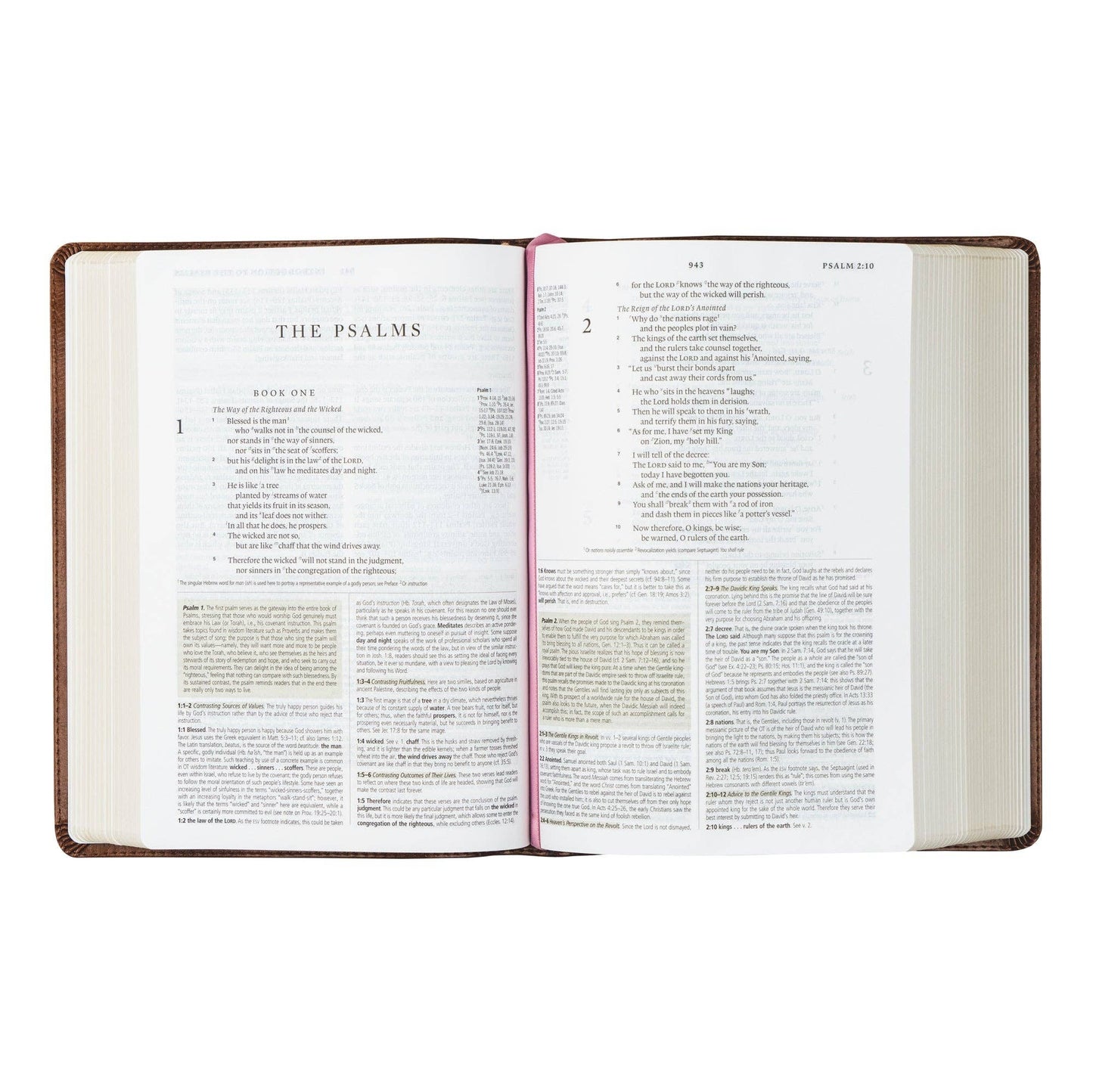 Hosanna Revival - ESV Study Bible: Aurora Theme Hosanna Revival
