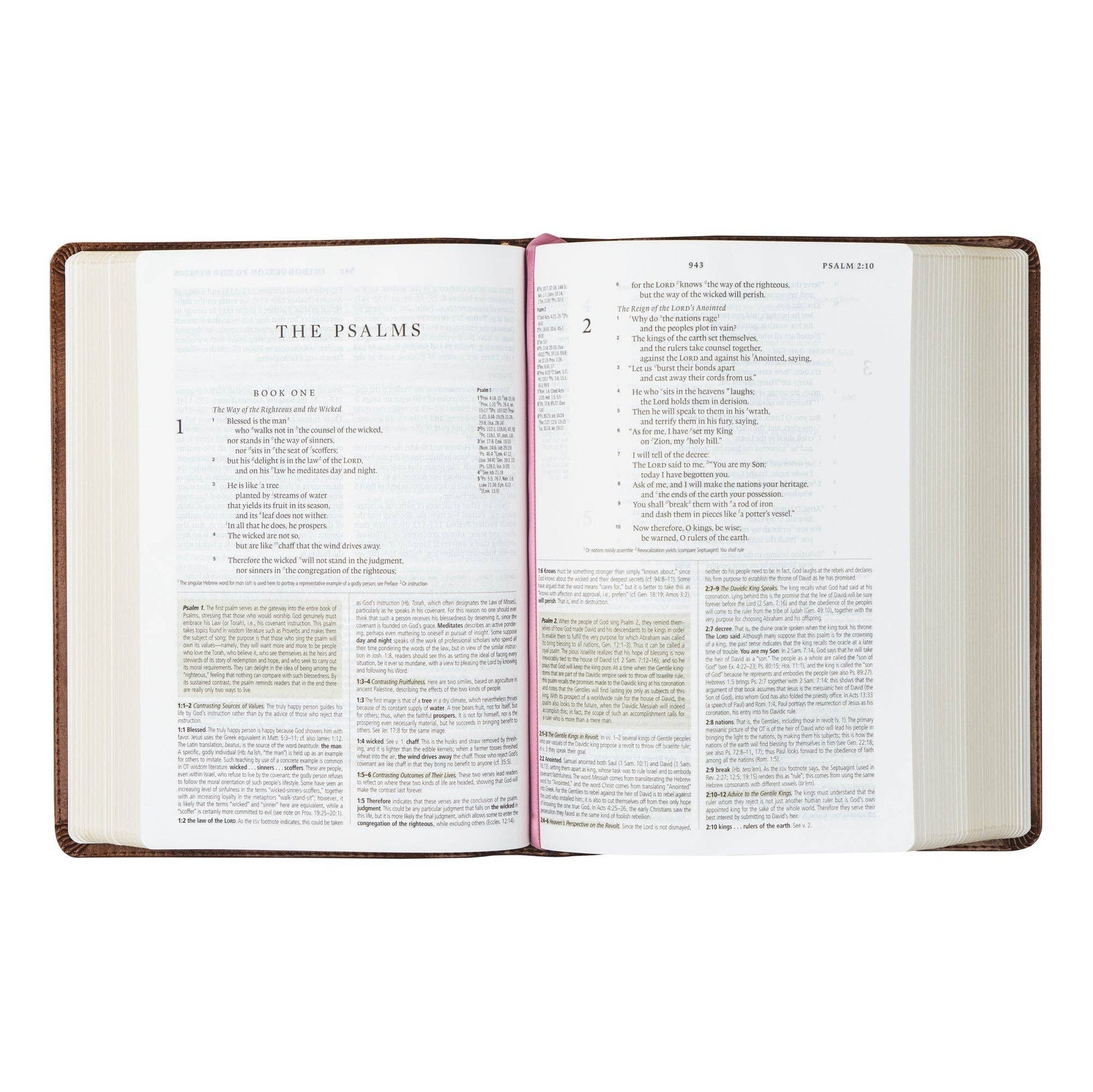 Hosanna Revival - ESV Study Bible: Aurora Theme Hosanna Revival