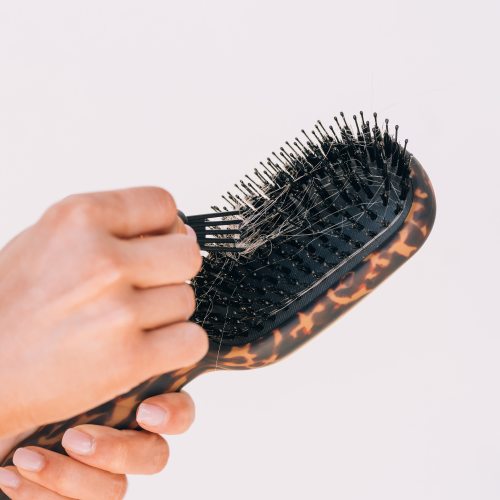 TELETIES - Boar Brush | Full Size | Tortoise TELETIES