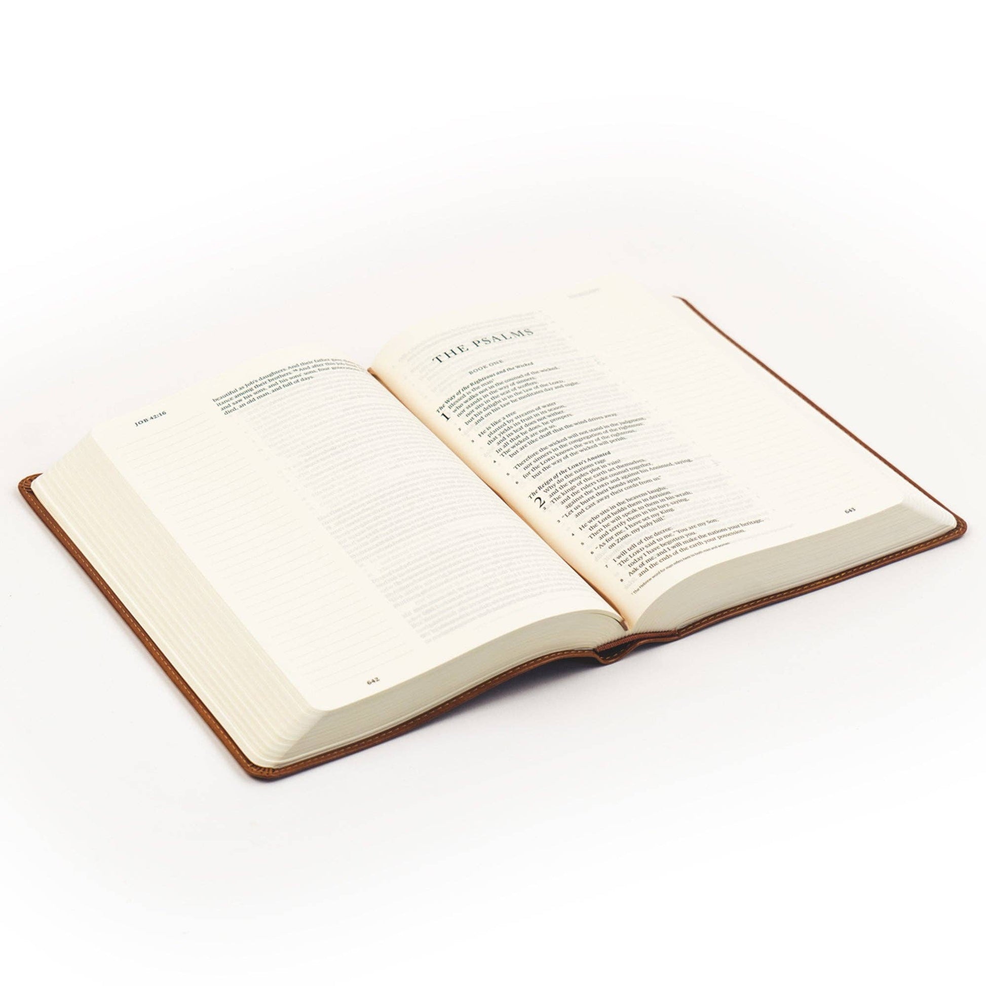 Hosanna Revival - ESV Large Print Journaling Bible: Sierra Theme Hosanna Revival
