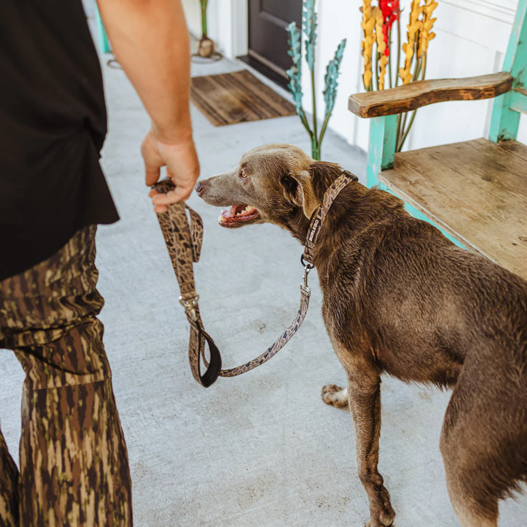 Burlebo Dog Leash BURLEBO