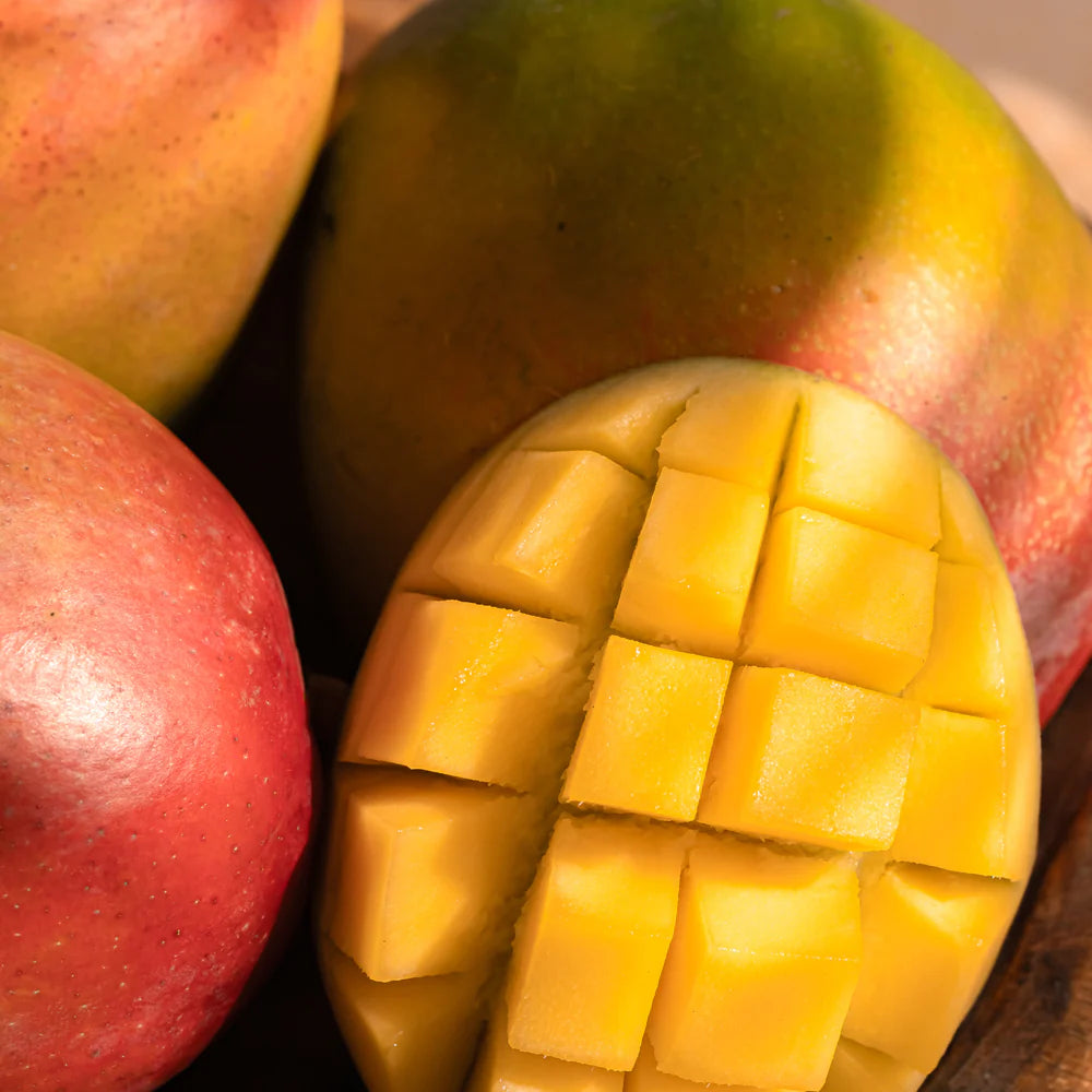 Tommy Bahama Maui Mango Pura Fragrance Oil Refill Pura