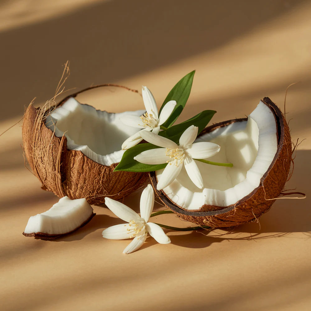 Becki Owens Coconut Calm Pura Home Fragrance Diffuser Oil Refill Becki Owens